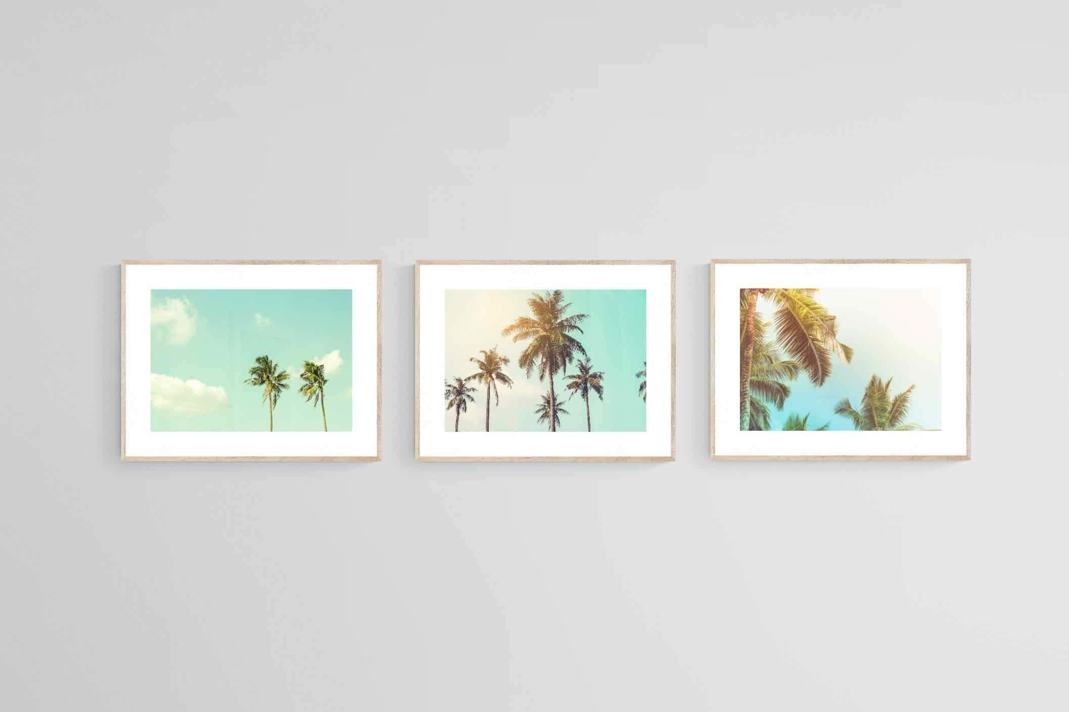 Palm Set-Wall_Art-80 x 60cm (x3)-Framed Print-Wood-Pixalot