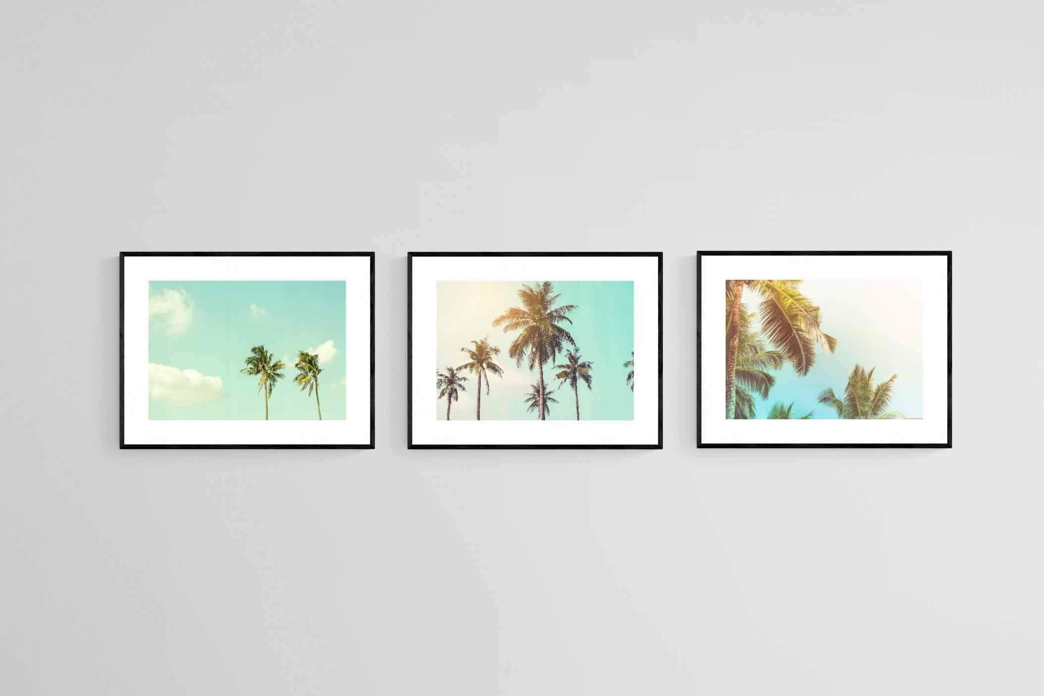 Palm Set-Wall_Art-80 x 60cm (x3)-Framed Print-Black-Pixalot