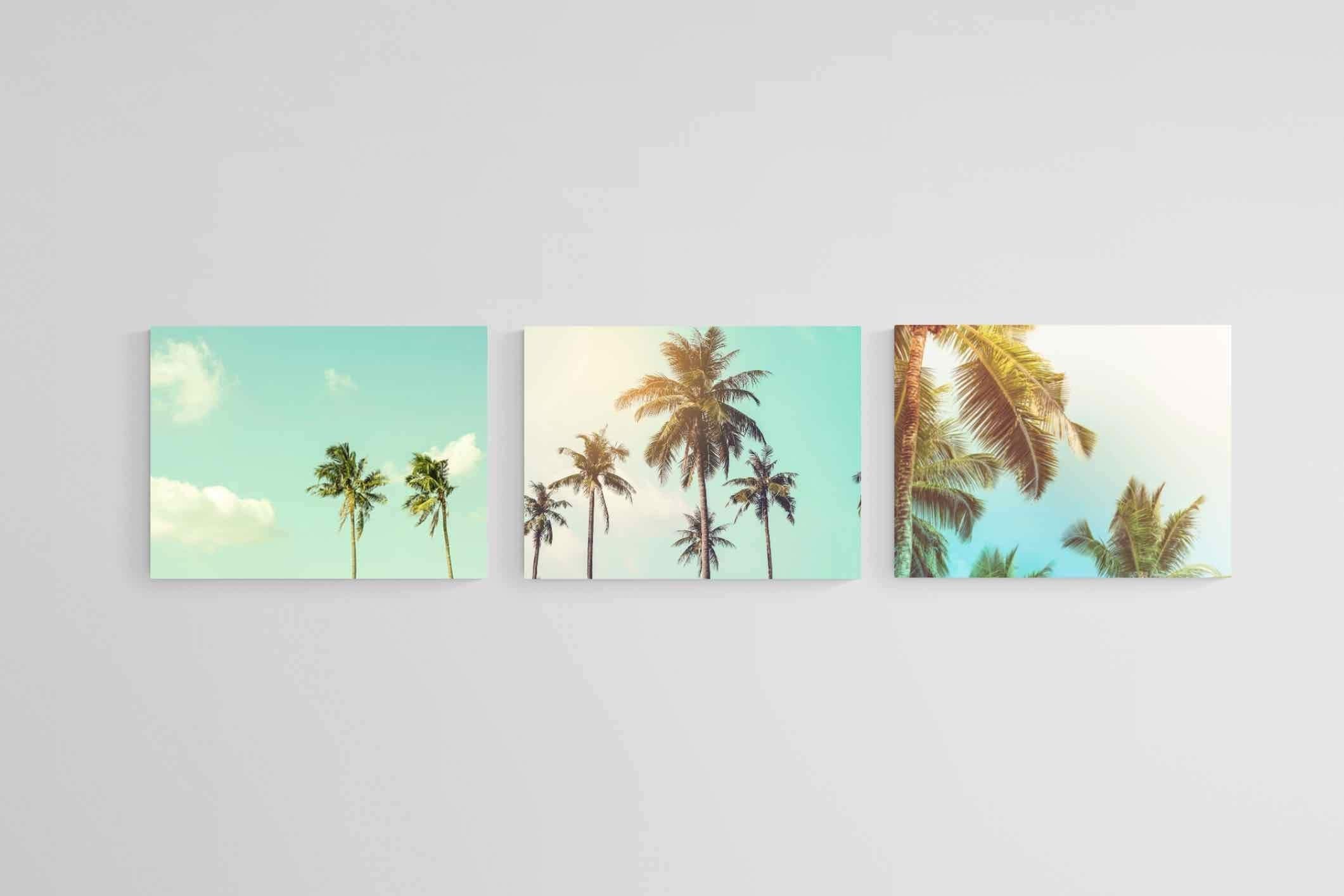 Palm Set-Wall_Art-80 x 60cm (x3)-Mounted Canvas-No Frame-Pixalot