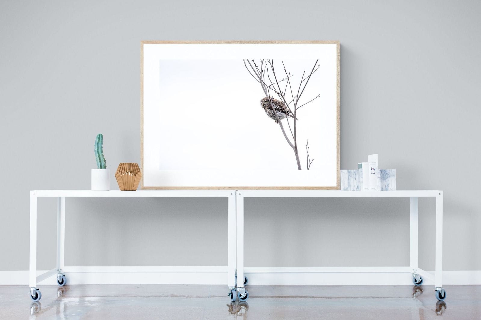 Pearl-Spotted Owlet-Wall_Art-120 x 90cm-Framed Print-Wood-Pixalot