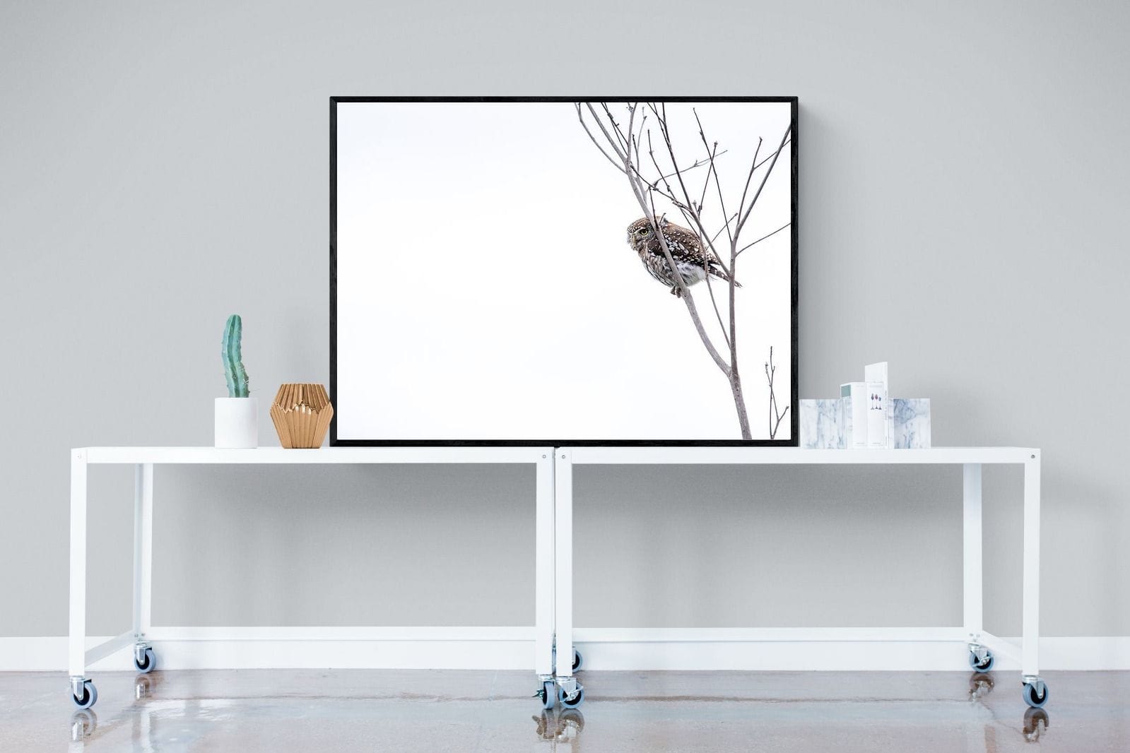 Pearl-Spotted Owlet-Wall_Art-120 x 90cm-Mounted Canvas-Black-Pixalot