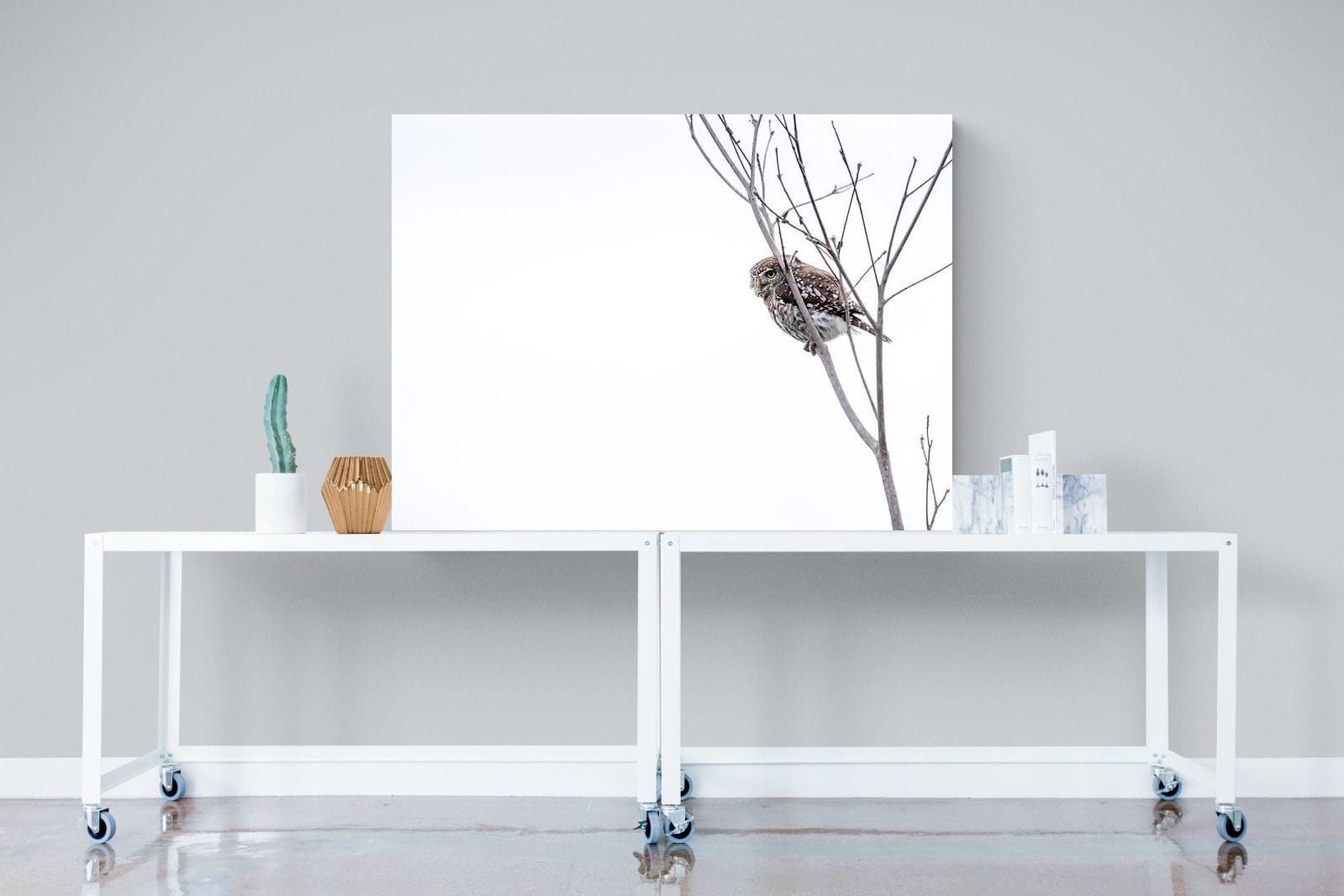 Pearl-Spotted Owlet-Wall_Art-120 x 90cm-Mounted Canvas-No Frame-Pixalot
