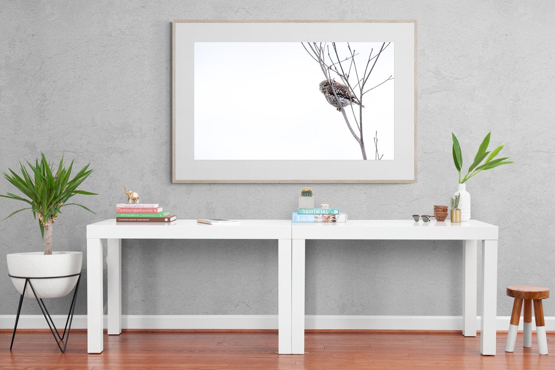 Pearl-Spotted Owlet-Wall_Art-150 x 100cm-Framed Print-Wood-Pixalot