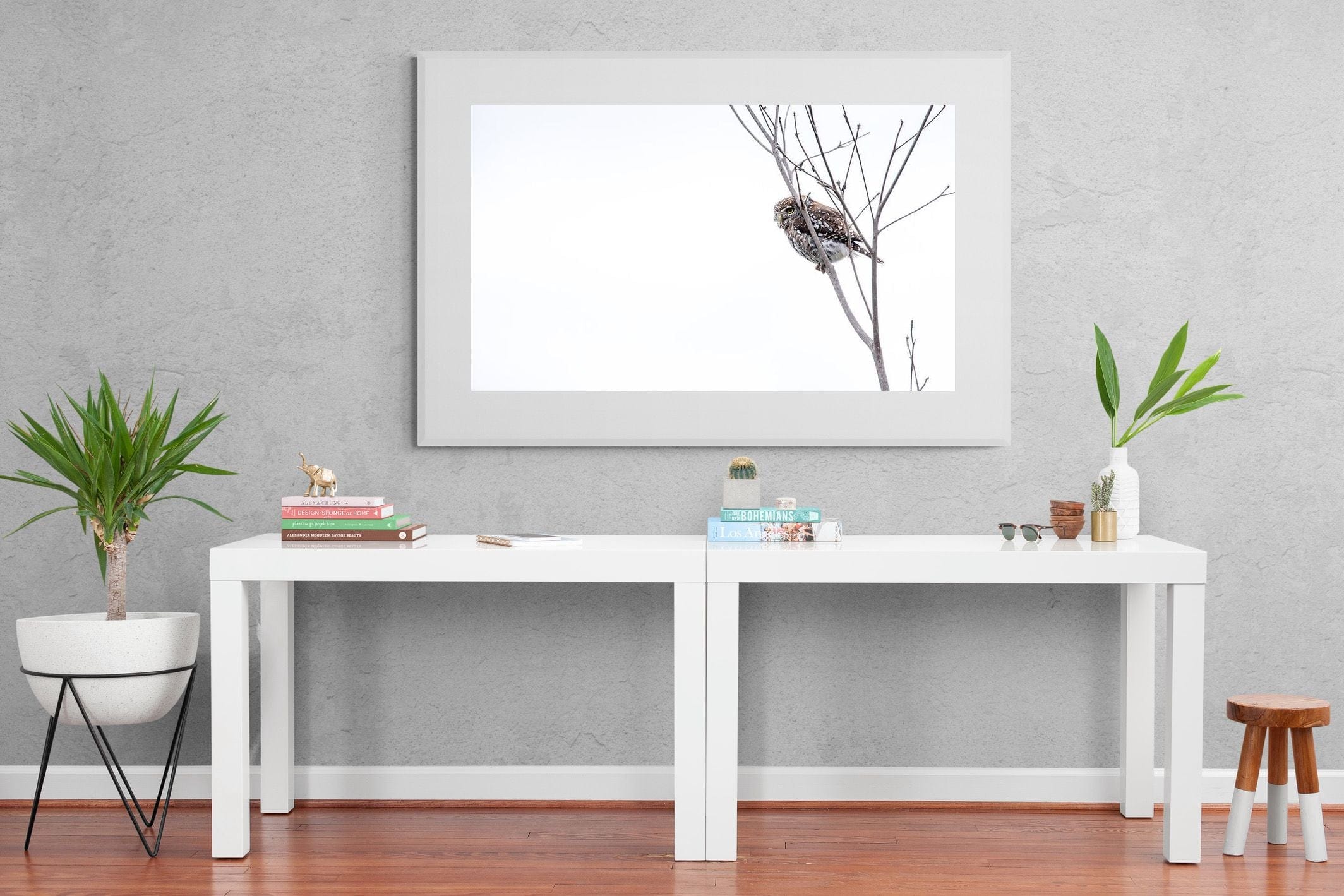 Pearl-Spotted Owlet-Wall_Art-150 x 100cm-Framed Print-White-Pixalot