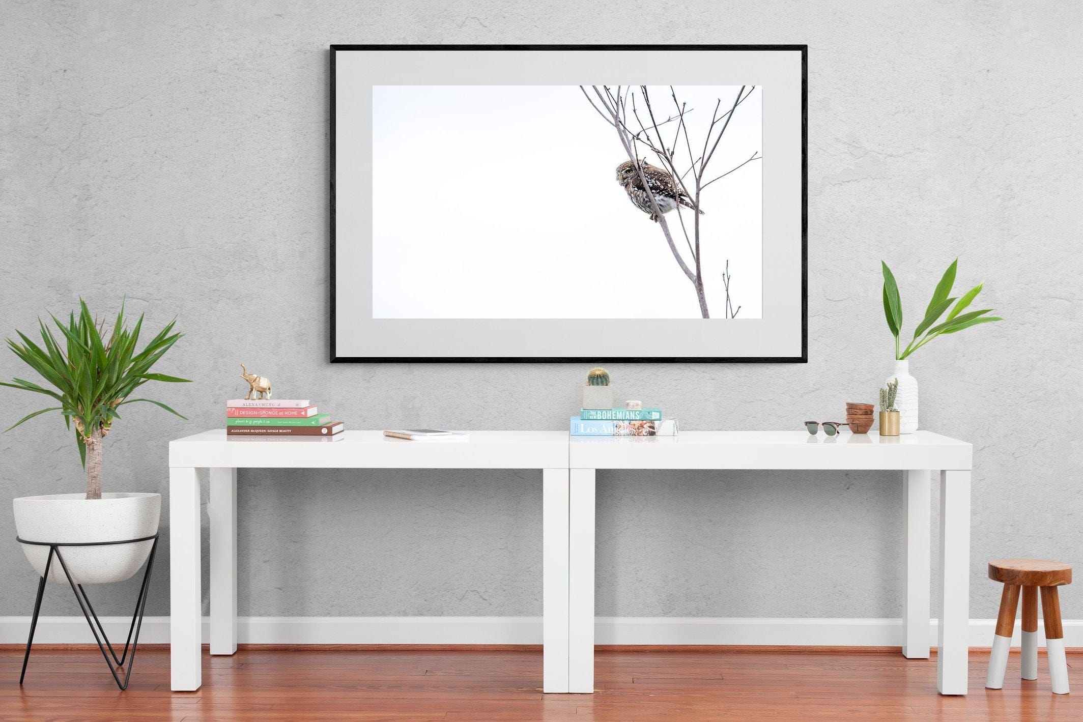 Pearl-Spotted Owlet-Wall_Art-150 x 100cm-Framed Print-Black-Pixalot