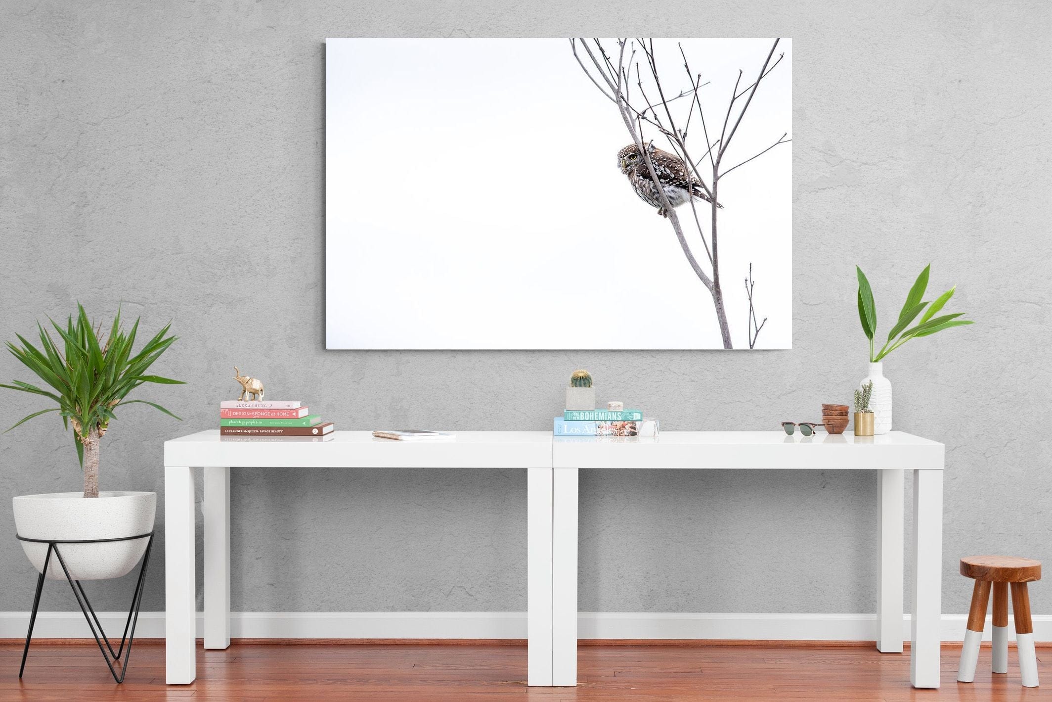 Pearl-Spotted Owlet-Wall_Art-150 x 100cm-Mounted Canvas-No Frame-Pixalot
