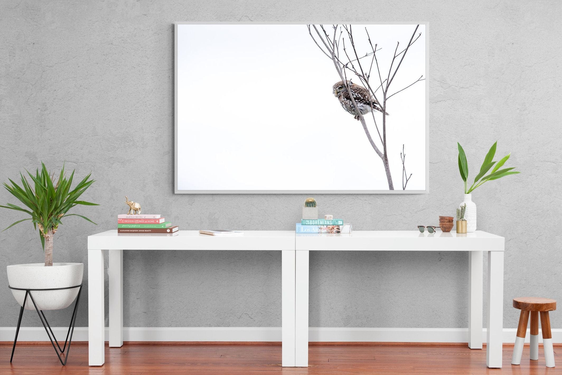 Pearl-Spotted Owlet-Wall_Art-150 x 100cm-Mounted Canvas-White-Pixalot