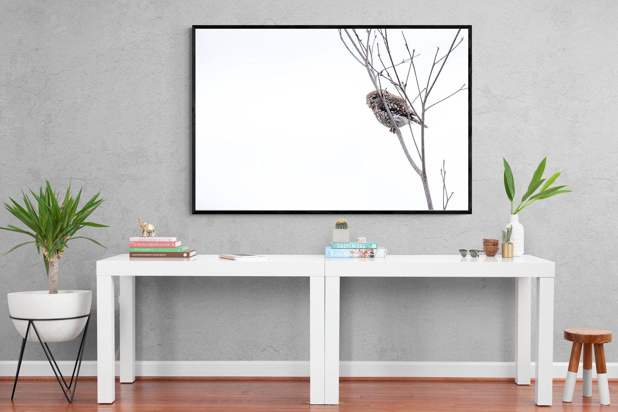 Pearl-Spotted Owlet-Wall_Art-150 x 100cm-Mounted Canvas-Black-Pixalot