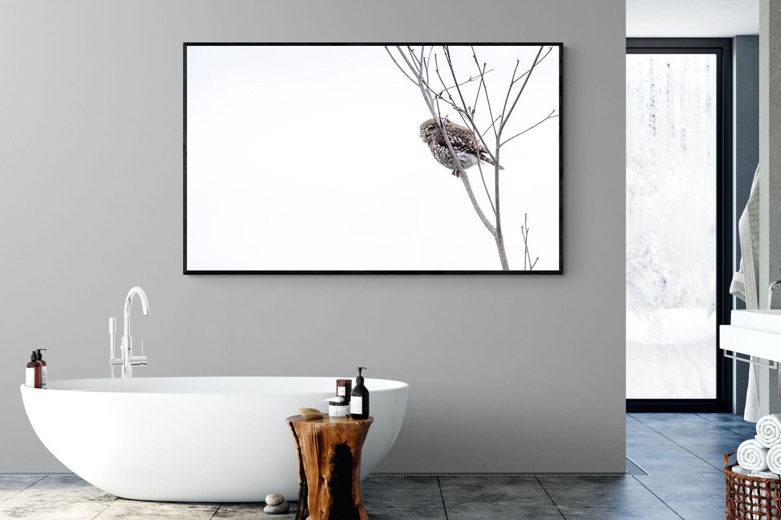 Pearl-Spotted Owlet-Wall_Art-180 x 110cm-Mounted Canvas-Black-Pixalot