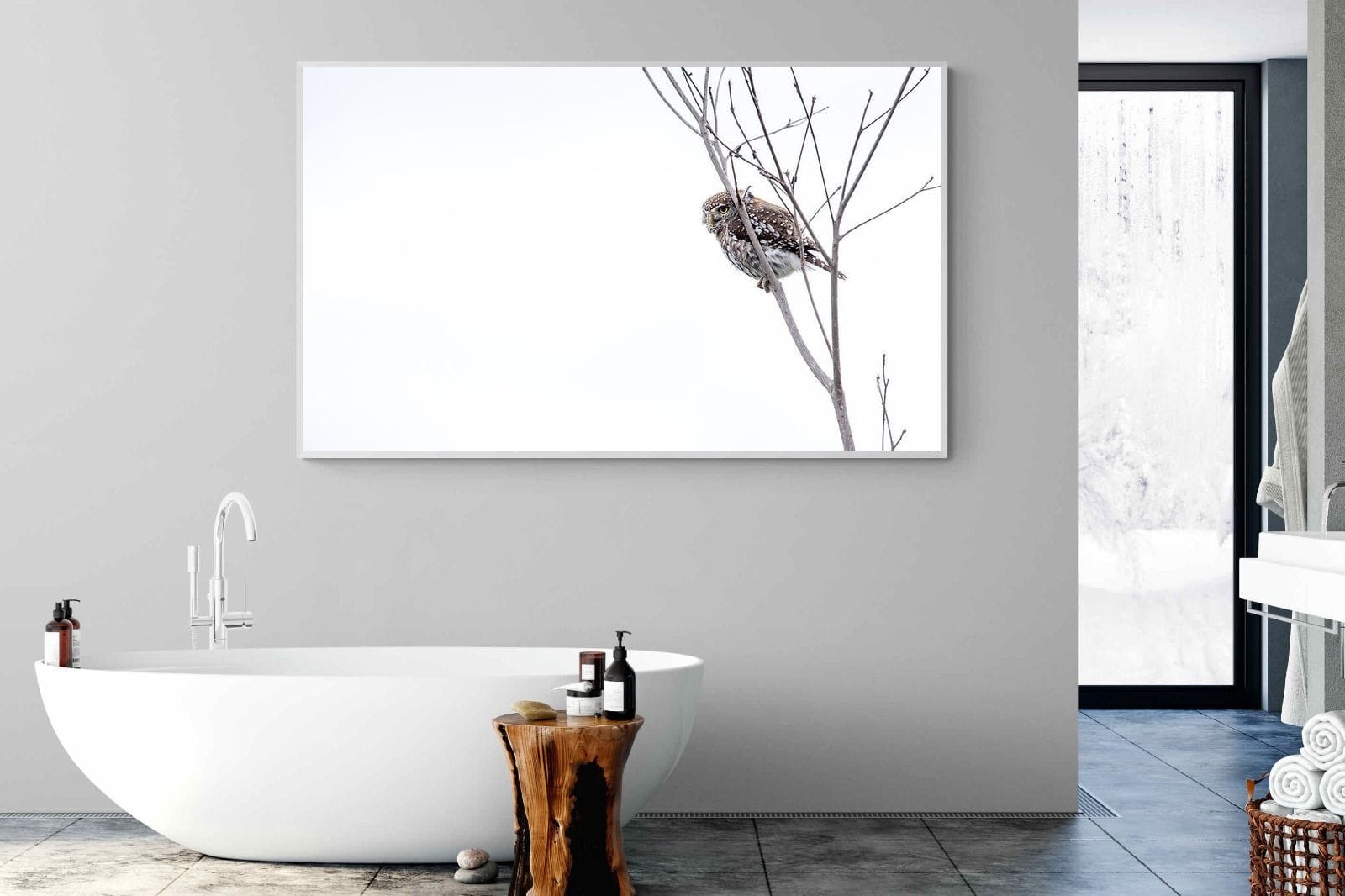 Pearl-Spotted Owlet-Wall_Art-180 x 110cm-Mounted Canvas-White-Pixalot