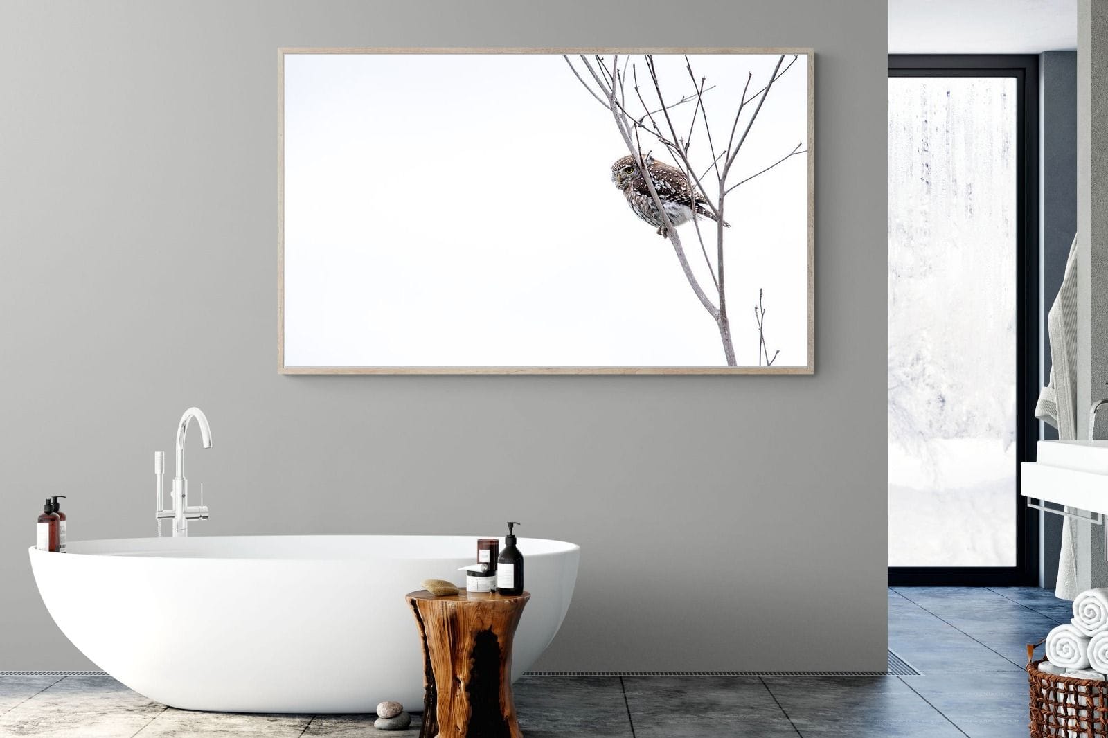 Pearl-Spotted Owlet-Wall_Art-180 x 110cm-Mounted Canvas-Wood-Pixalot