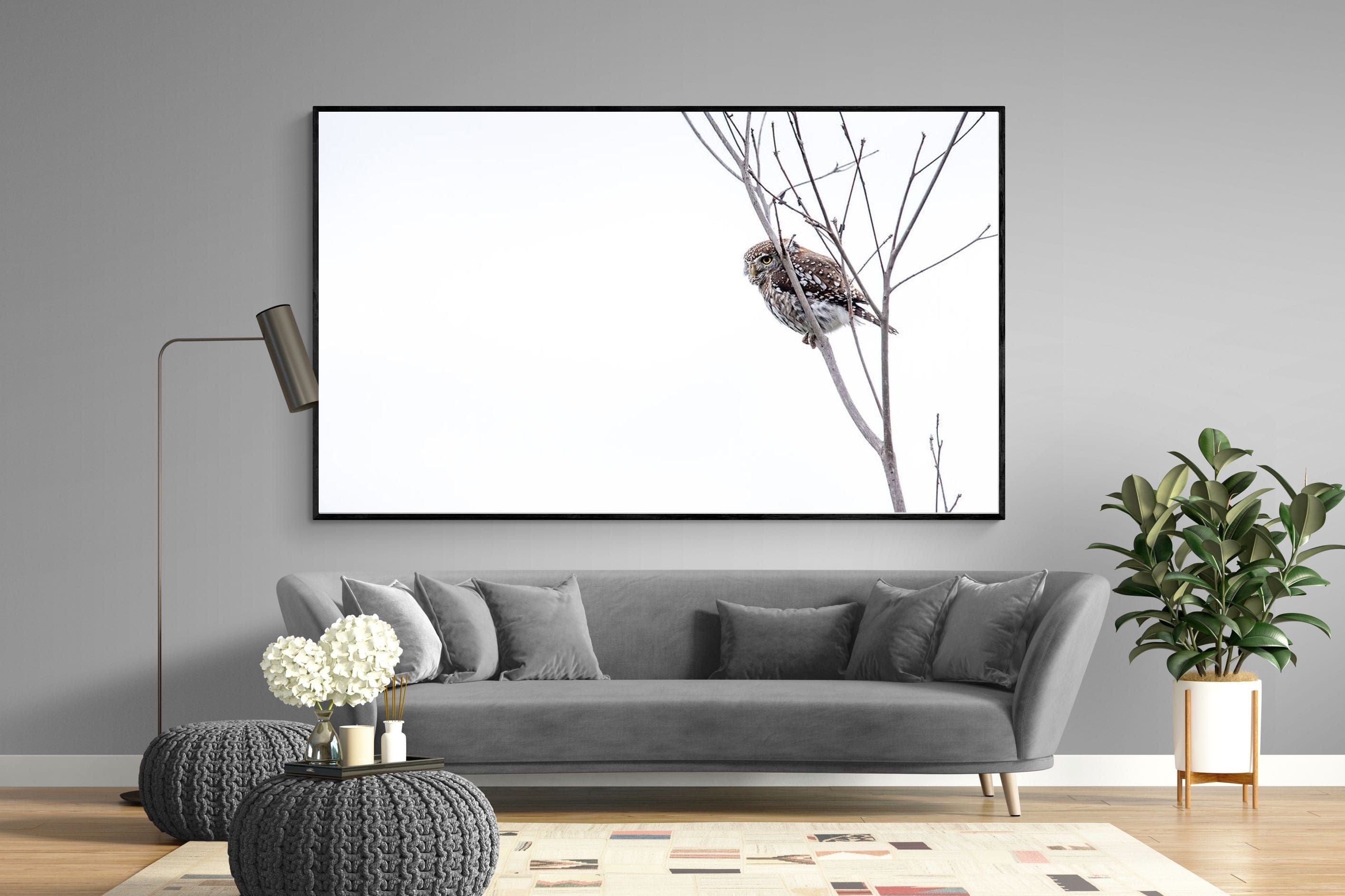 Pearl-Spotted Owlet-Wall_Art-220 x 130cm-Mounted Canvas-Black-Pixalot