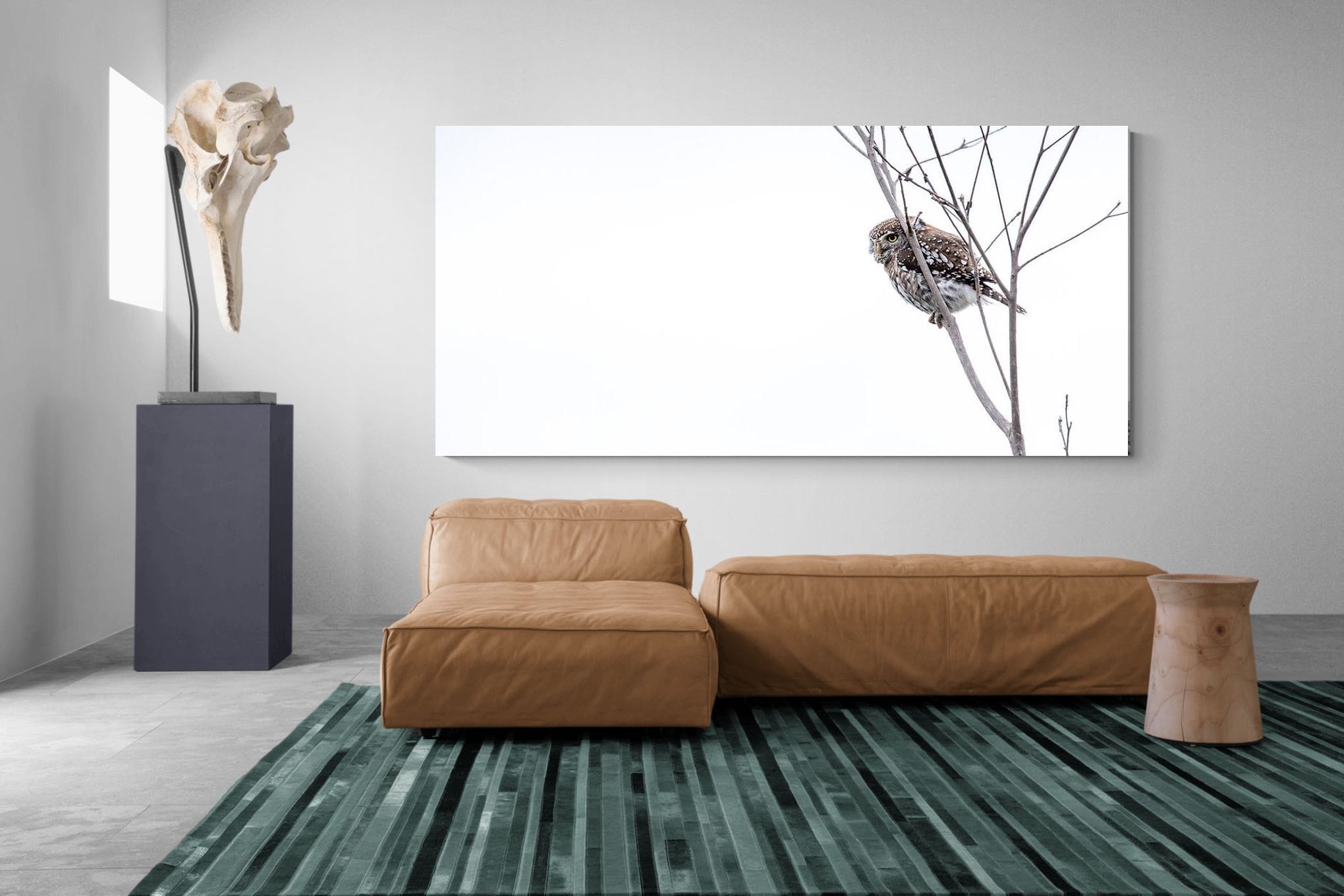 Pearl-Spotted Owlet-Wall_Art-275 x 130cm-Mounted Canvas-No Frame-Pixalot