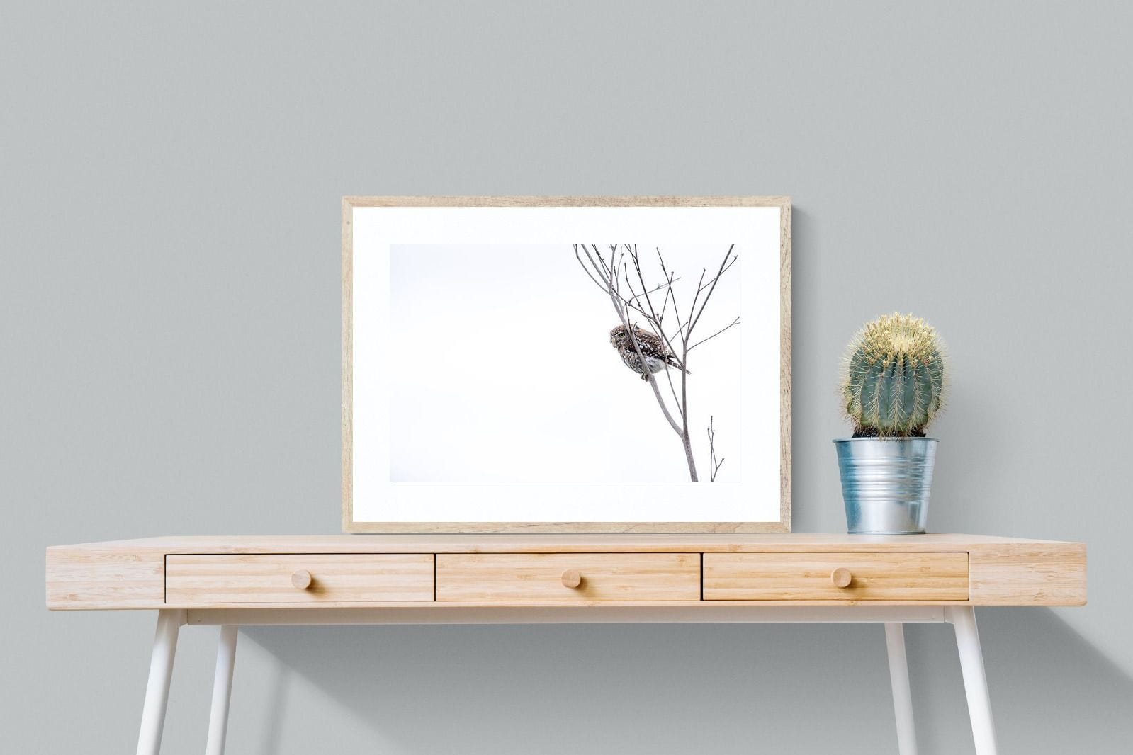 Pearl-Spotted Owlet-Wall_Art-80 x 60cm-Framed Print-Wood-Pixalot