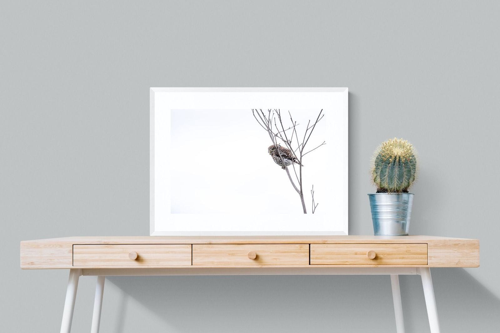 Pearl-Spotted Owlet-Wall_Art-80 x 60cm-Framed Print-White-Pixalot