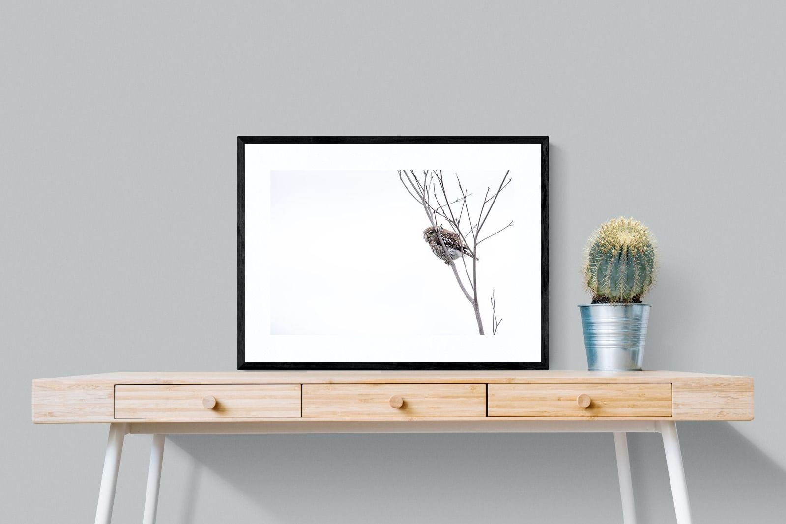 Pearl-Spotted Owlet-Wall_Art-80 x 60cm-Framed Print-Black-Pixalot