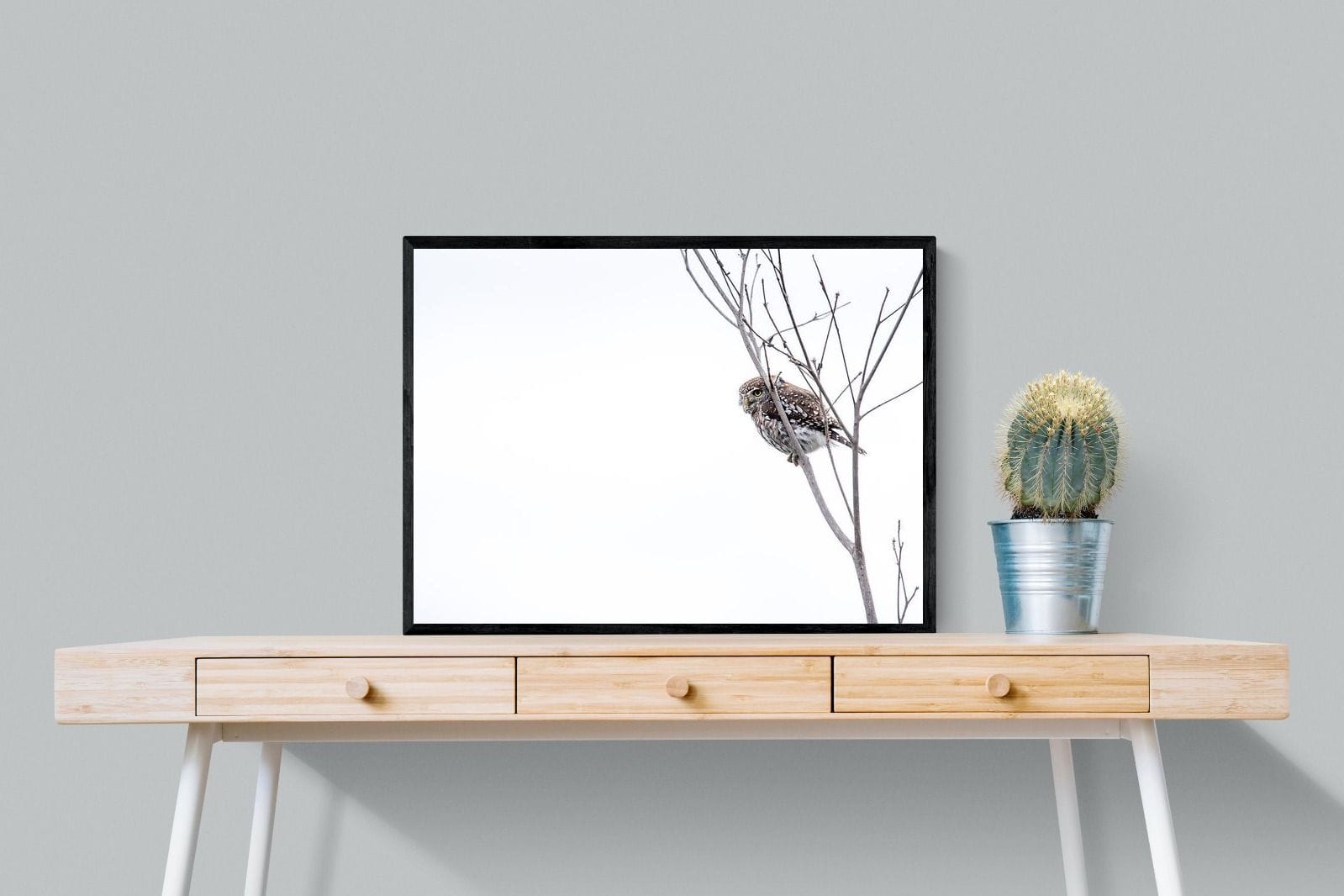 Pearl-Spotted Owlet-Wall_Art-80 x 60cm-Mounted Canvas-Black-Pixalot