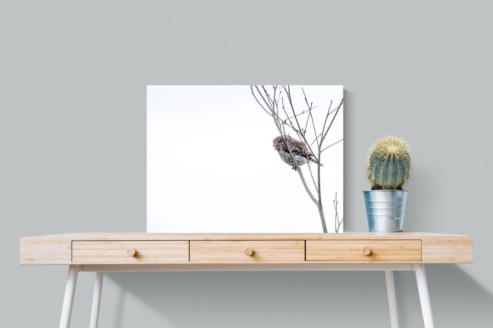 Pearl-Spotted Owlet-Wall_Art-80 x 60cm-Mounted Canvas-No Frame-Pixalot