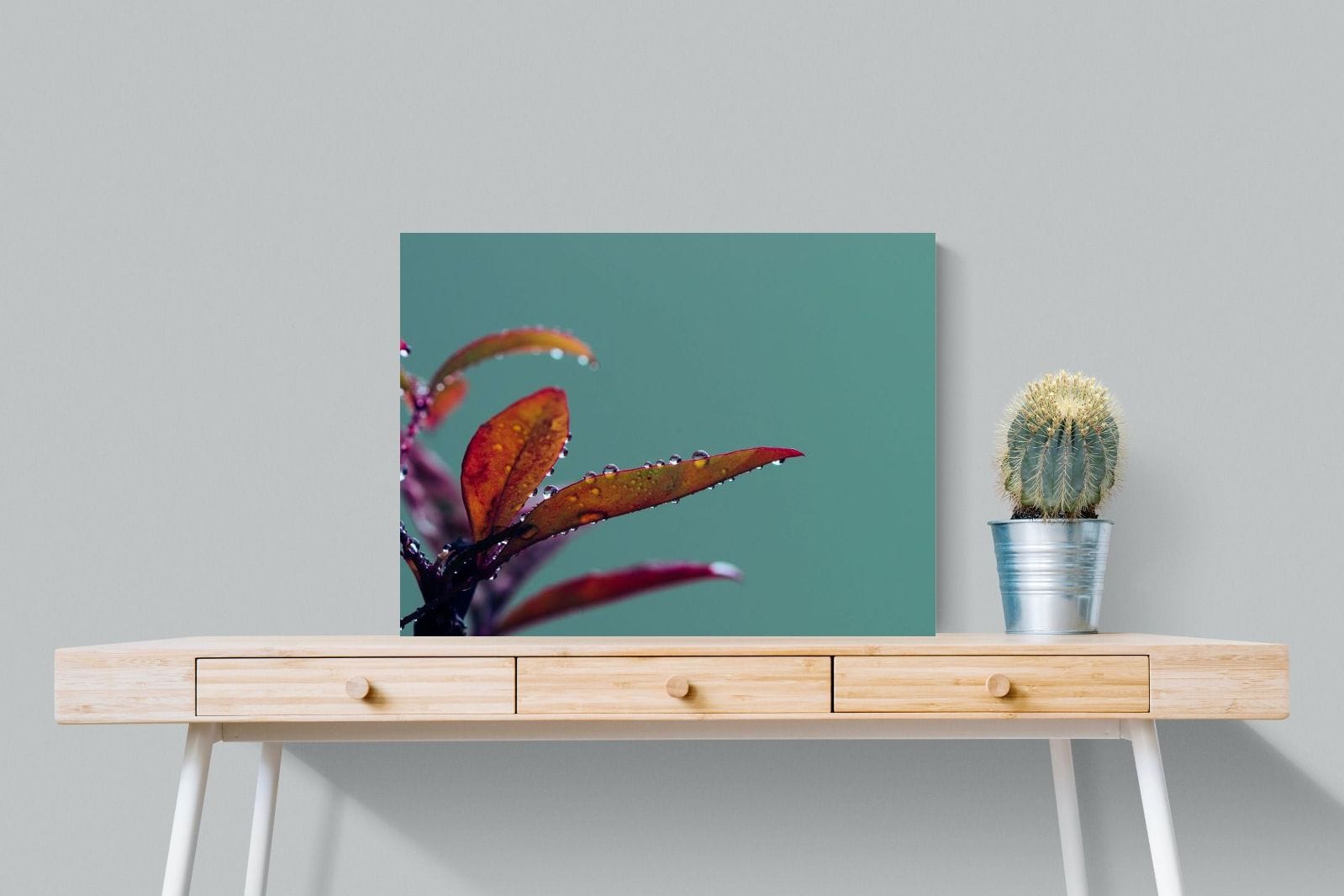 Petal Droplets-Wall_Art-80 x 60cm-Mounted Canvas-No Frame-Pixalot