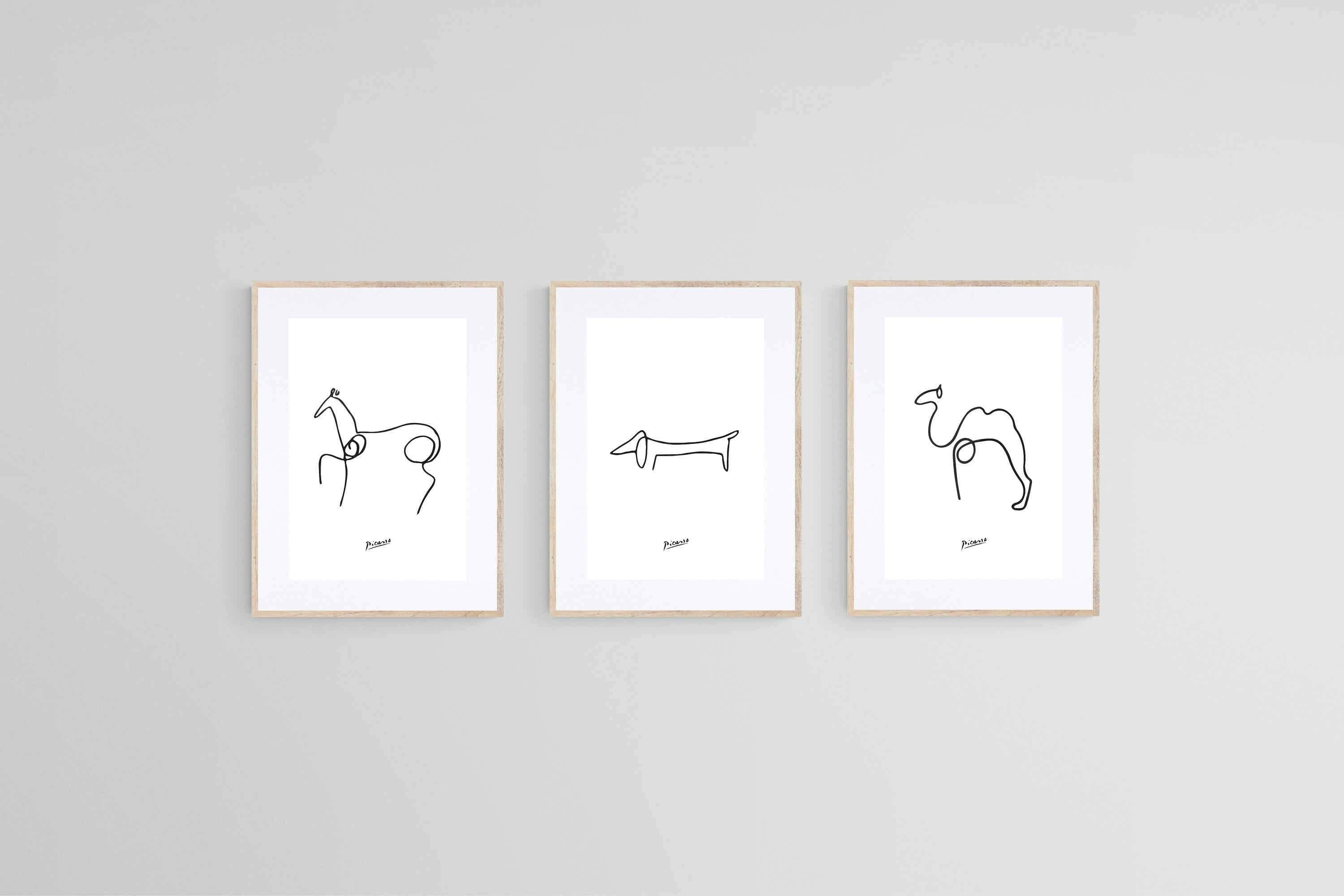 Picasso Sketches-Wall_Art-45 x 60cm (x3)-Framed Print-Wood-Pixalot