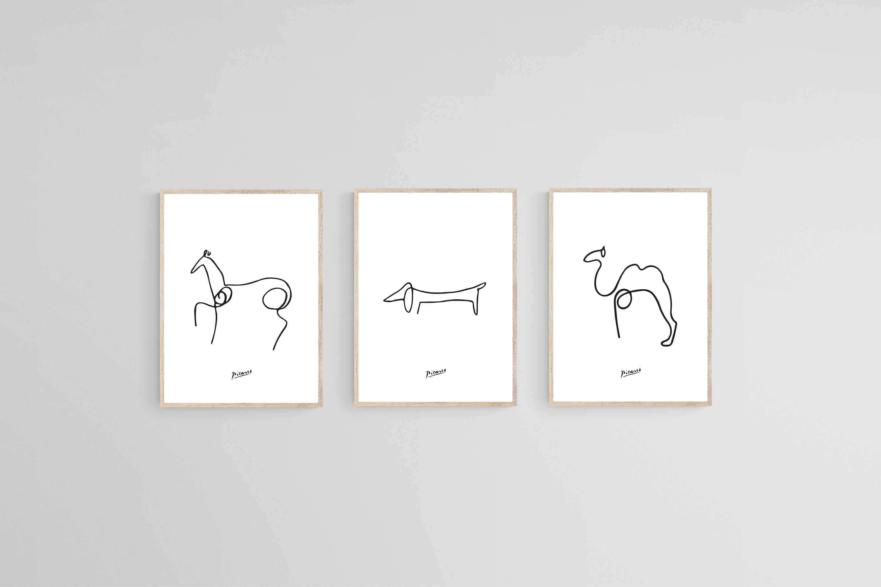 Picasso Sketches-Wall_Art-45 x 60cm (x3)-Mounted Canvas-Wood-Pixalot