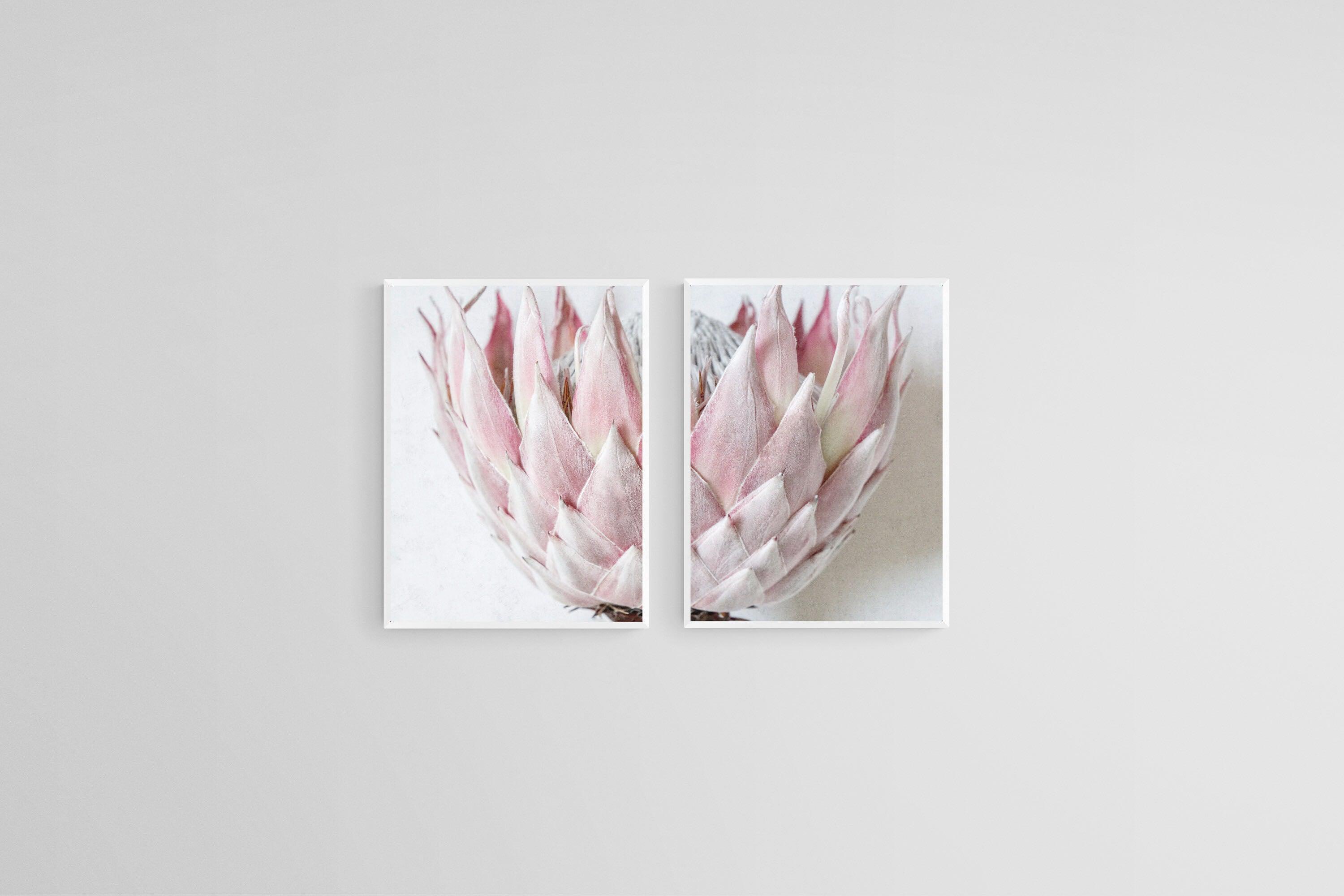 Pink King Protea Set-Wall_Art-45 x 60cm (x2)-Mounted Canvas-White-Pixalot
