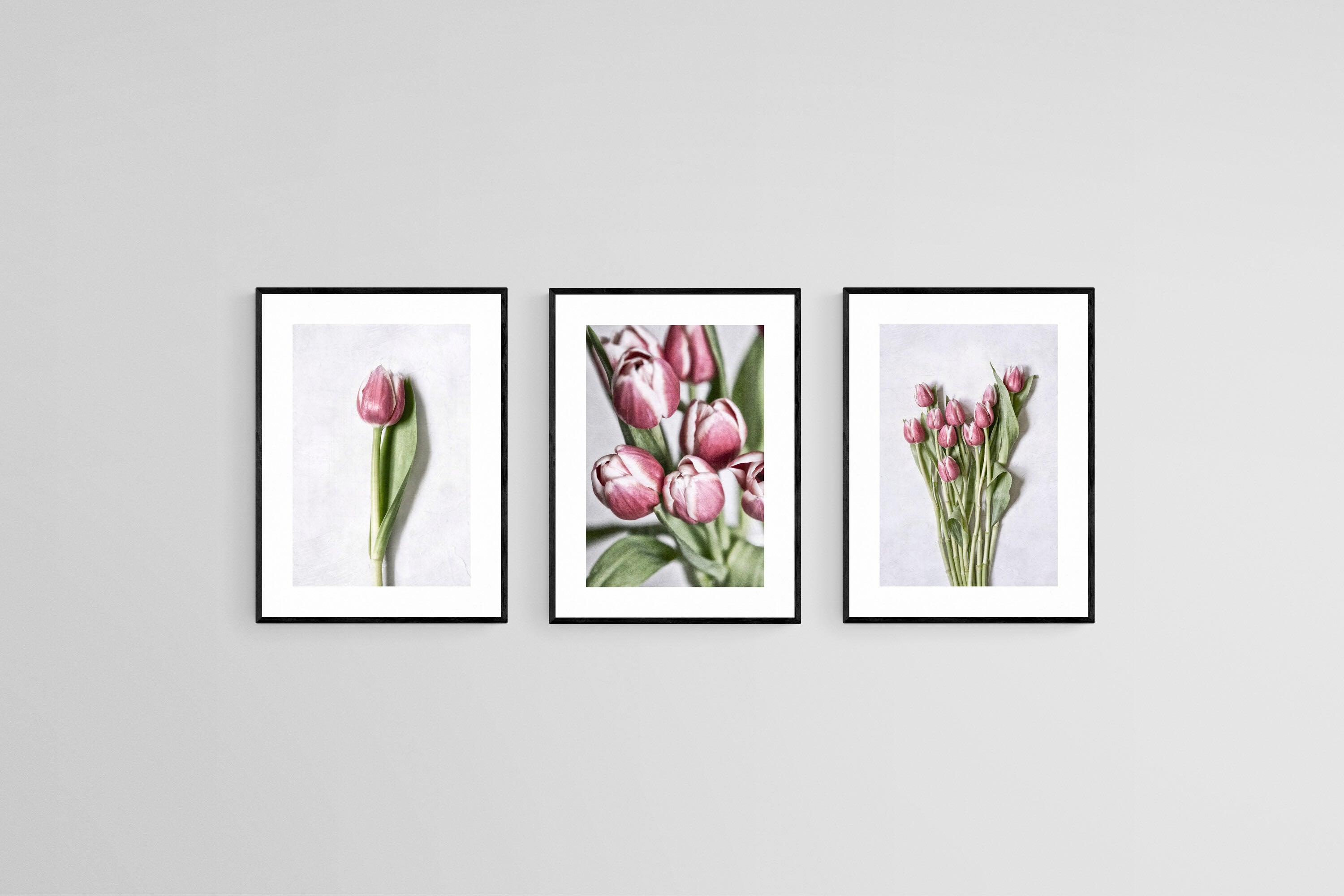 Pink Tulips Set-Wall_Art-45 x 60cm (x3)-Framed Print-Black-Pixalot