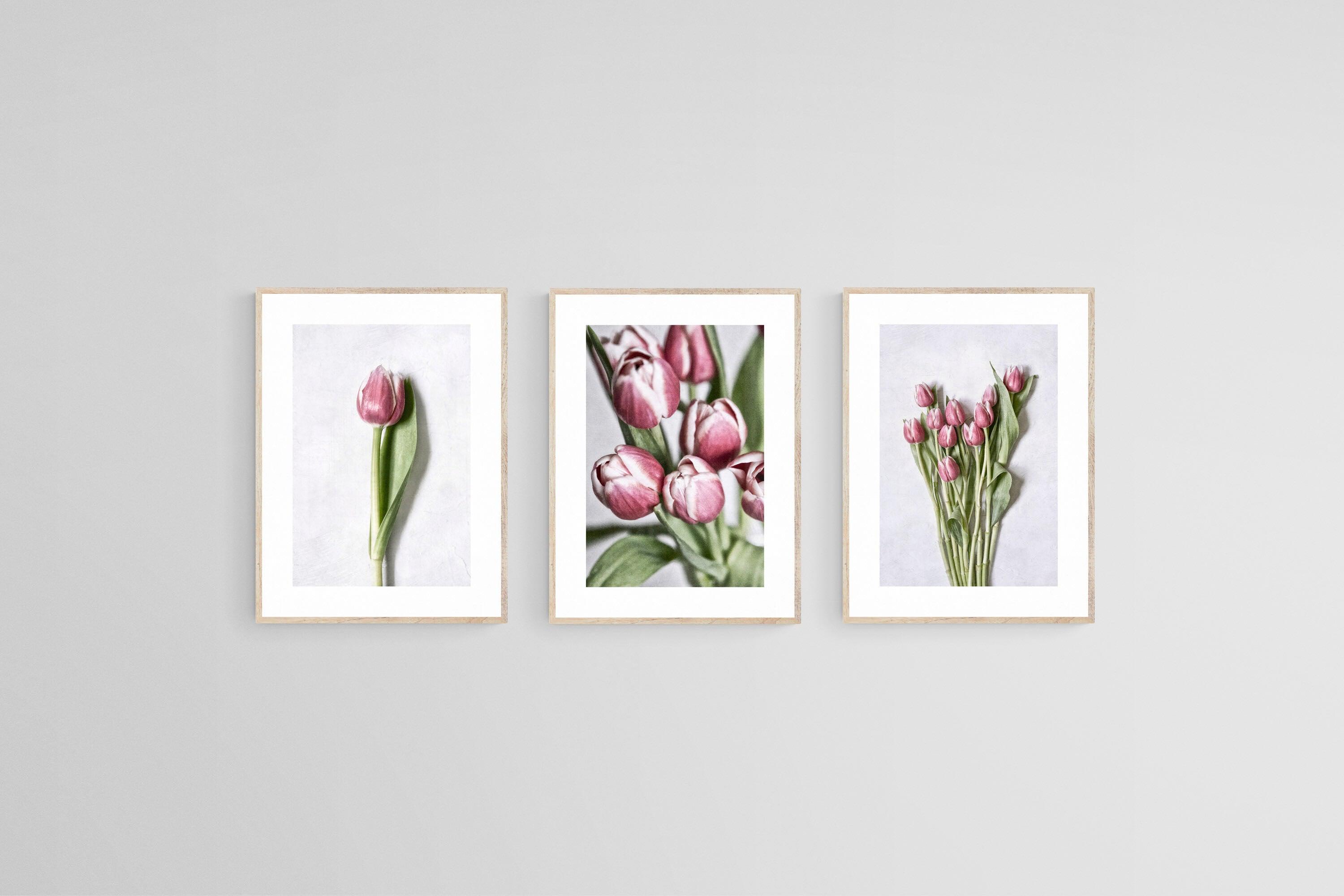 Pink Tulips Set-Wall_Art-45 x 60cm (x3)-Framed Print-Wood-Pixalot