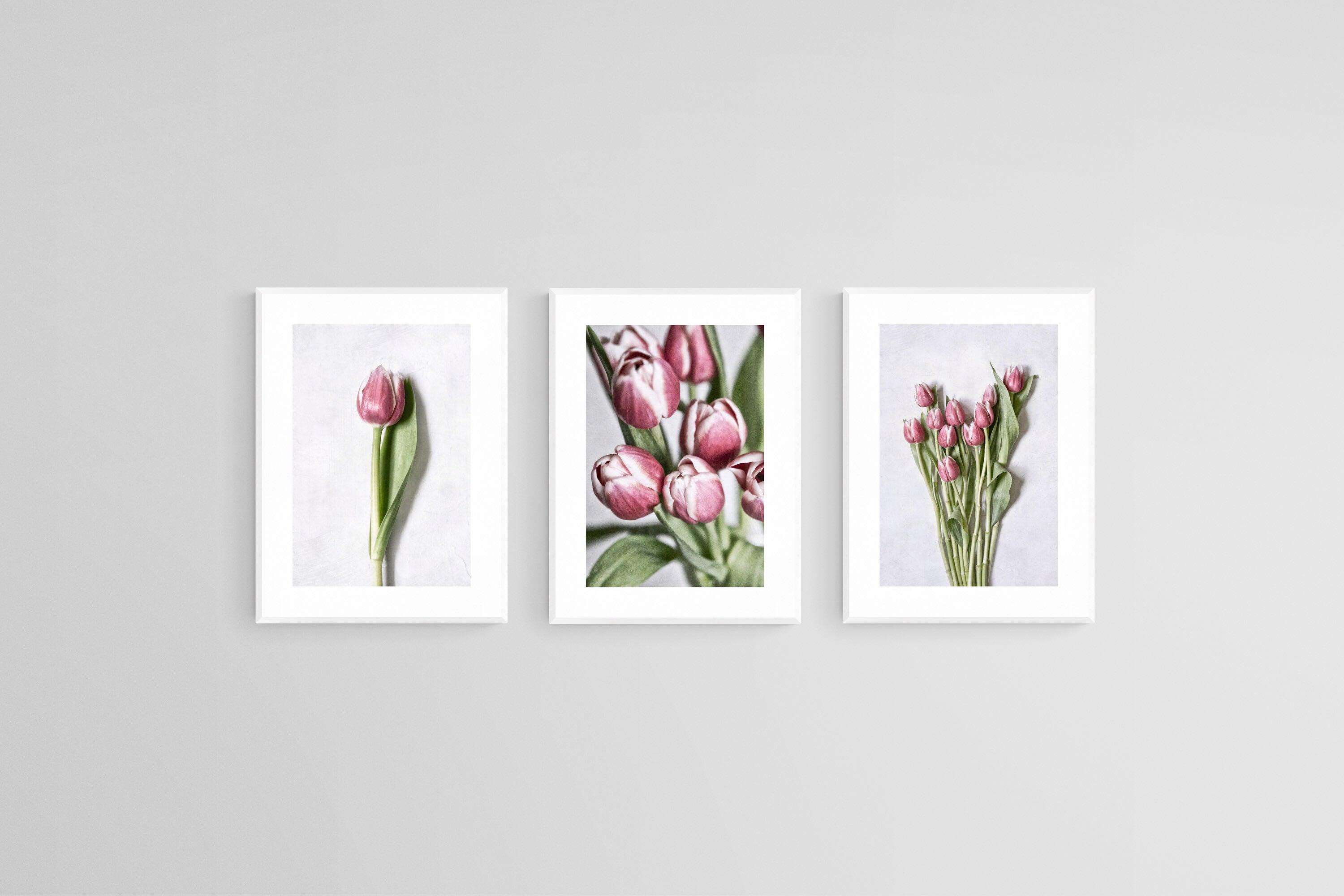 Pink Tulips Set-Wall_Art-45 x 60cm (x3)-Framed Print-White-Pixalot