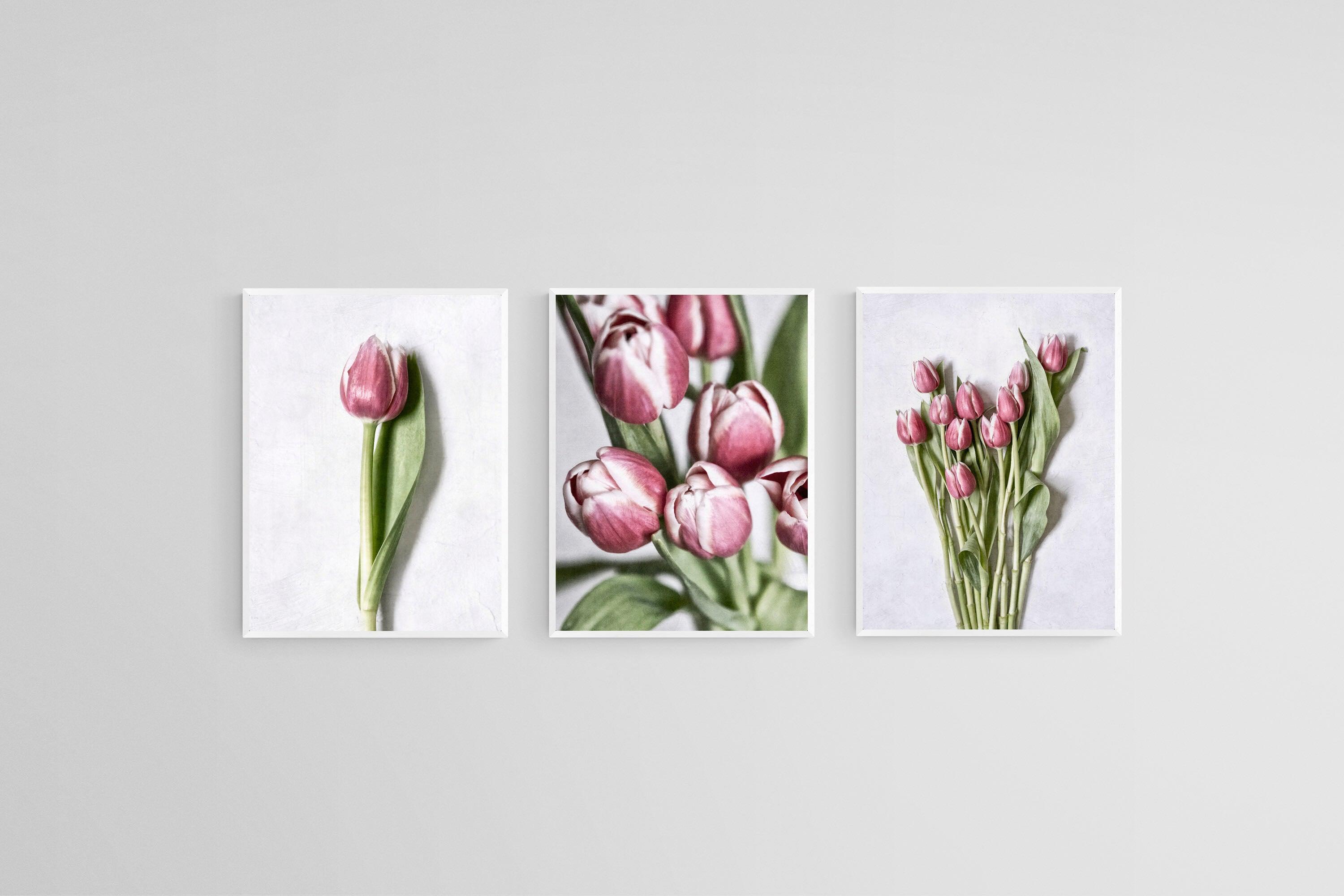 Pink Tulips Set-Wall_Art-45 x 60cm (x3)-Mounted Canvas-White-Pixalot