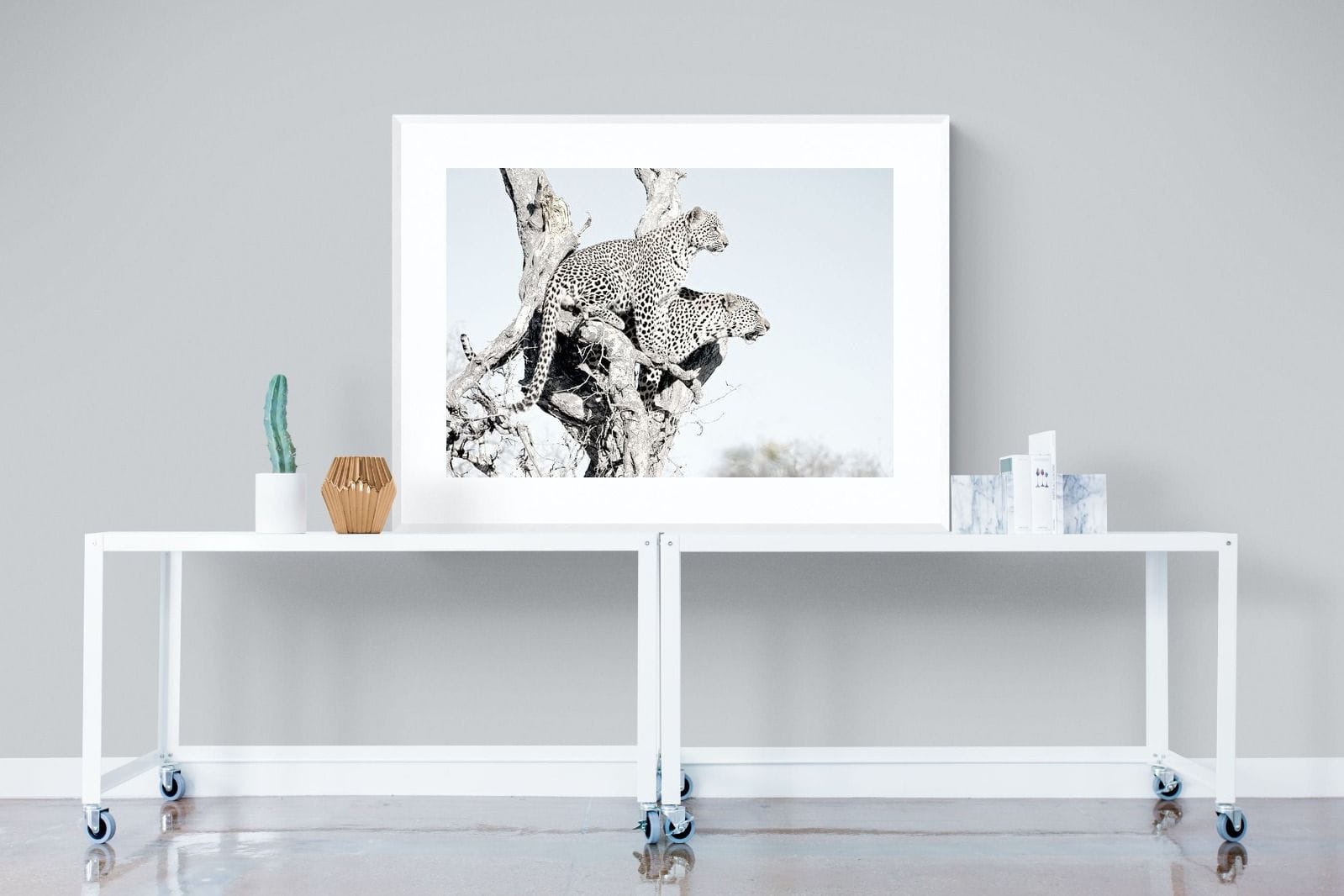 Poised Leopards-Wall_Art-120 x 90cm-Framed Print-White-Pixalot