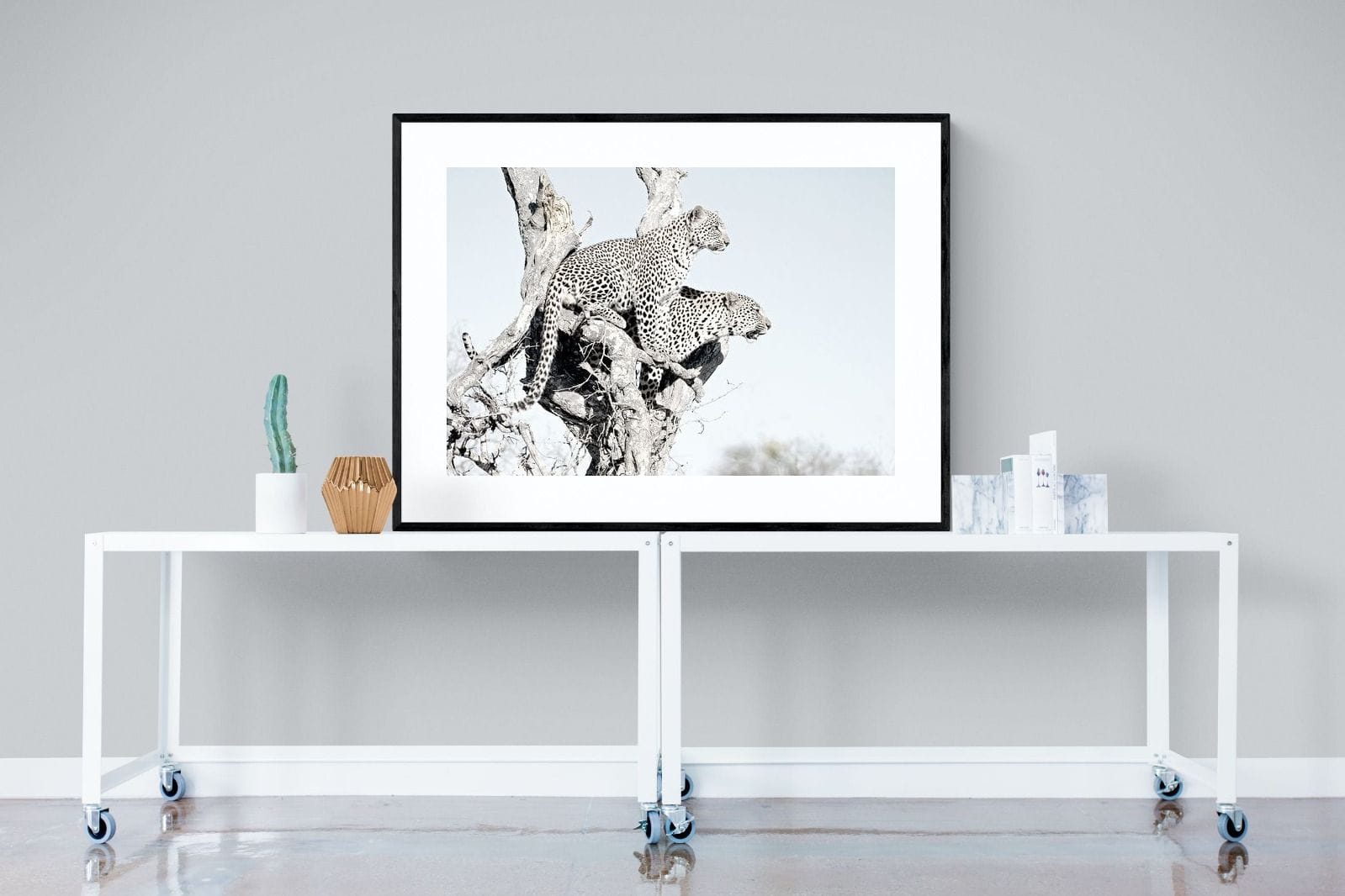Poised Leopards-Wall_Art-120 x 90cm-Framed Print-Black-Pixalot