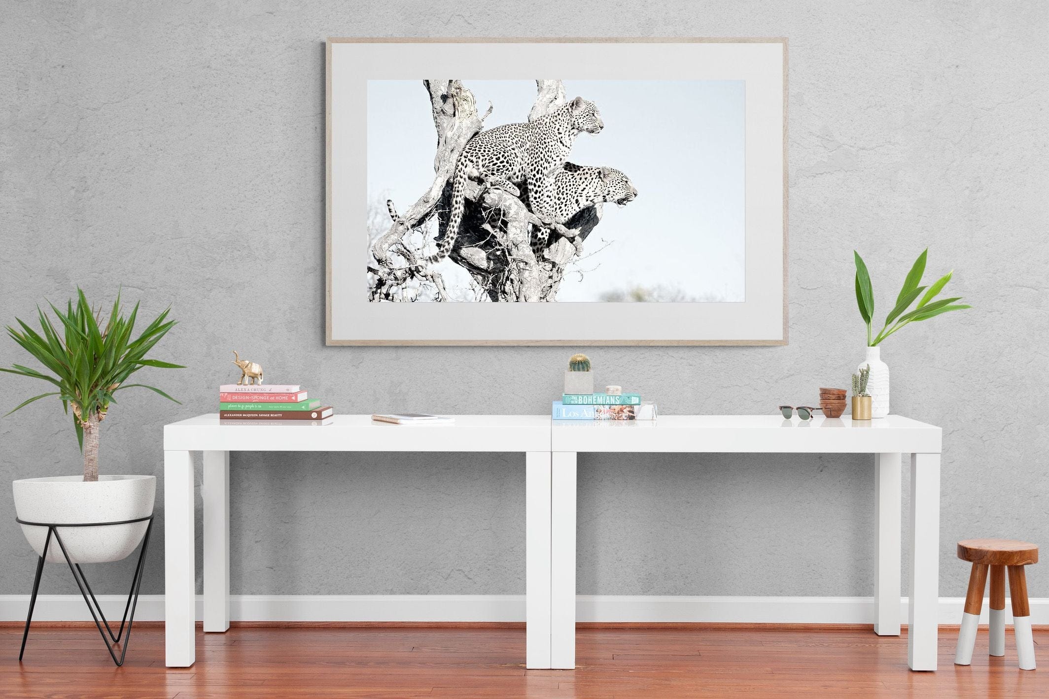 Poised Leopards-Wall_Art-150 x 100cm-Framed Print-Wood-Pixalot