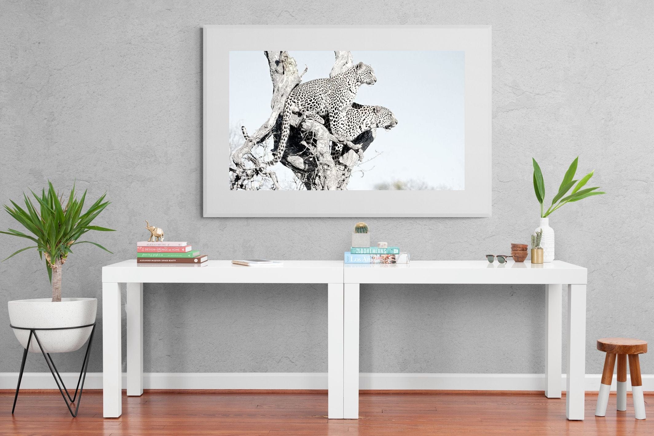 Poised Leopards-Wall_Art-150 x 100cm-Framed Print-White-Pixalot