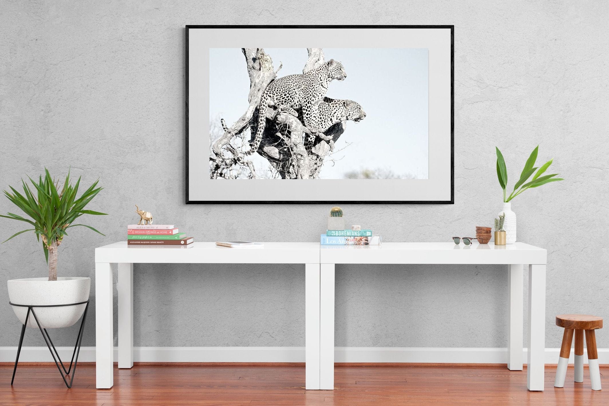 Poised Leopards-Wall_Art-150 x 100cm-Framed Print-Black-Pixalot