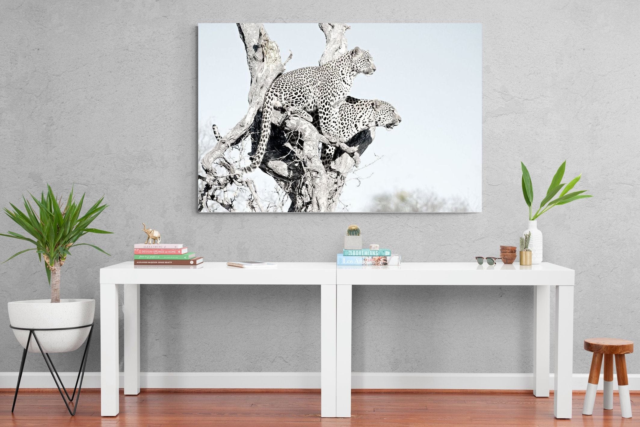 Poised Leopards-Wall_Art-150 x 100cm-Mounted Canvas-No Frame-Pixalot