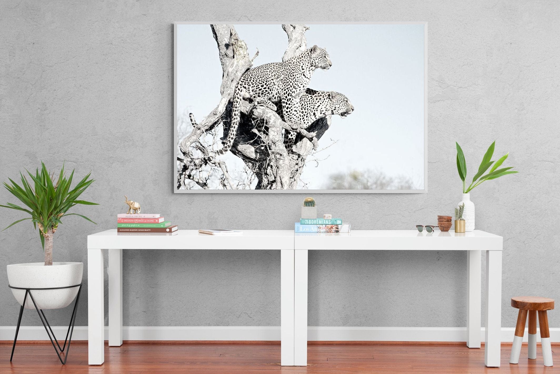 Poised Leopards-Wall_Art-150 x 100cm-Mounted Canvas-White-Pixalot