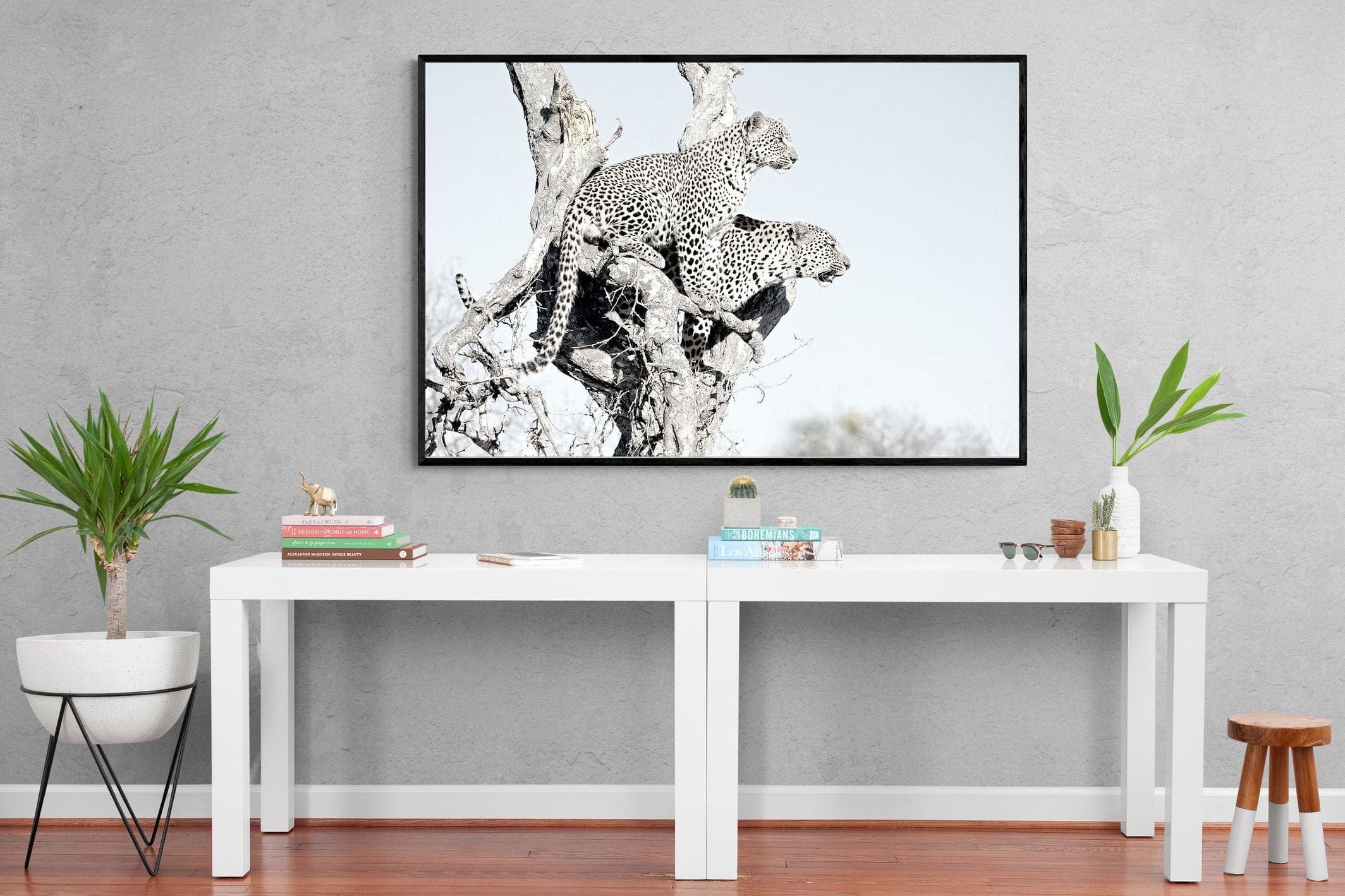 Poised Leopards-Wall_Art-150 x 100cm-Mounted Canvas-Black-Pixalot