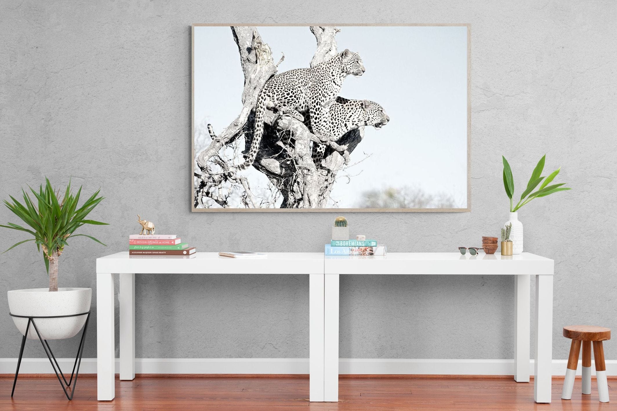 Poised Leopards-Wall_Art-150 x 100cm-Mounted Canvas-Wood-Pixalot