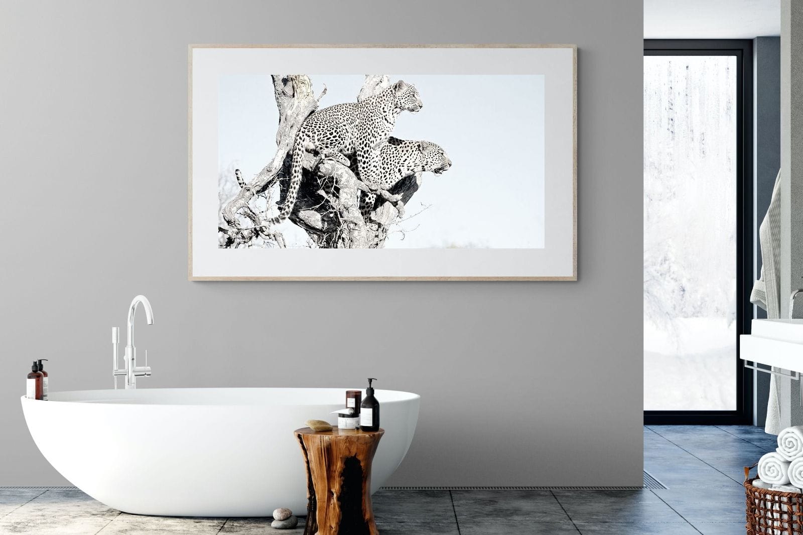 Poised Leopards-Wall_Art-180 x 110cm-Framed Print-Wood-Pixalot
