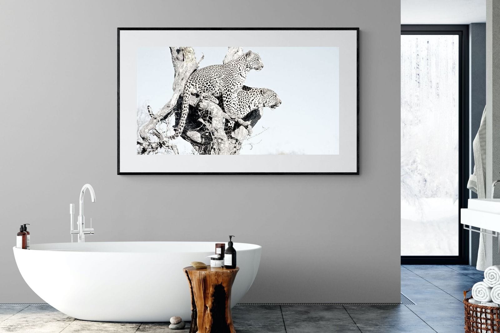 Poised Leopards-Wall_Art-180 x 110cm-Framed Print-Black-Pixalot