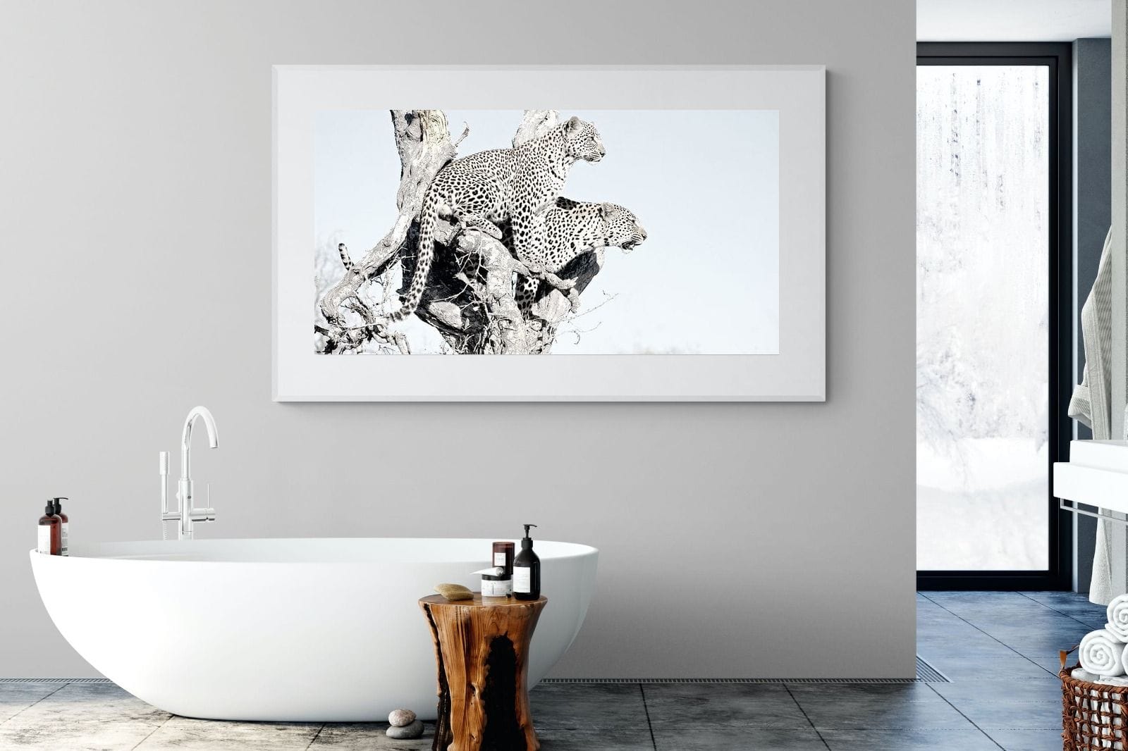 Poised Leopards-Wall_Art-180 x 110cm-Framed Print-White-Pixalot