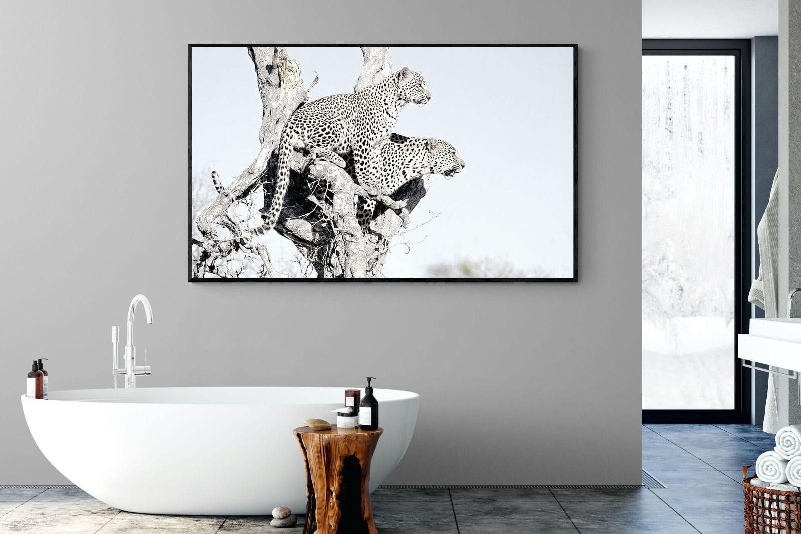 Poised Leopards-Wall_Art-180 x 110cm-Mounted Canvas-Black-Pixalot