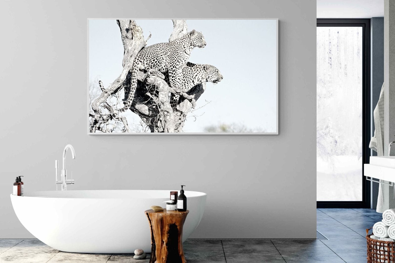 Poised Leopards-Wall_Art-180 x 110cm-Mounted Canvas-White-Pixalot