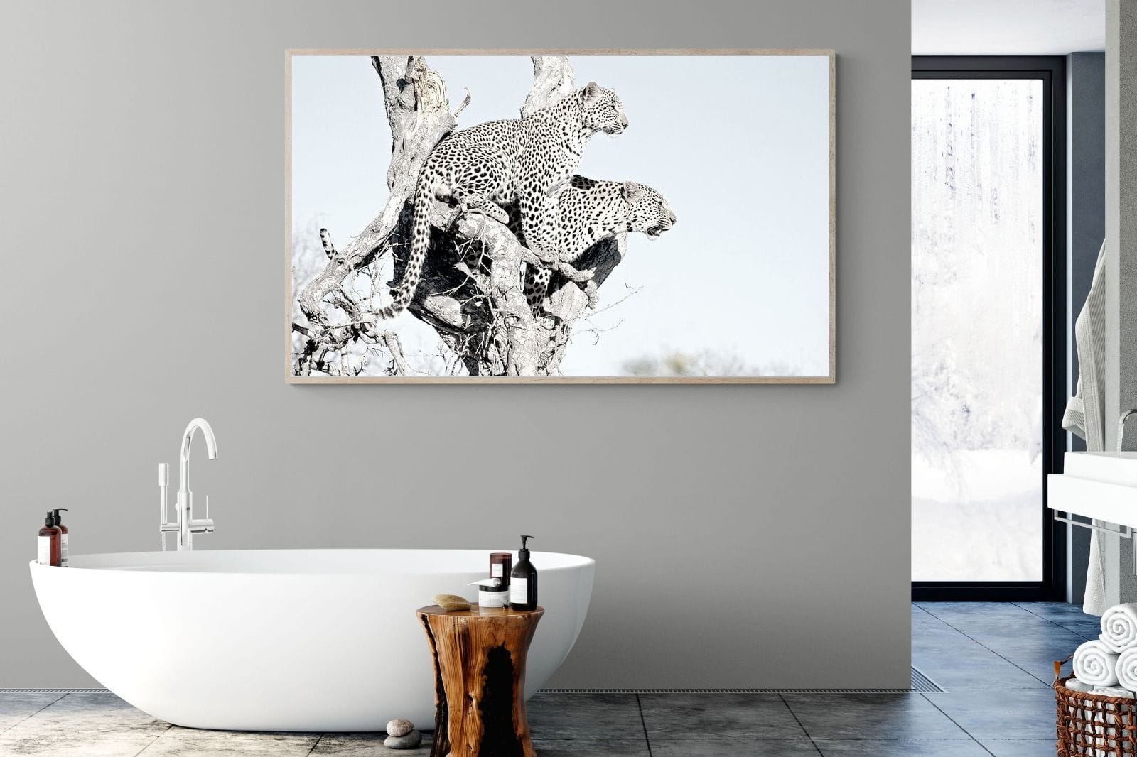 Poised Leopards-Wall_Art-180 x 110cm-Mounted Canvas-Wood-Pixalot