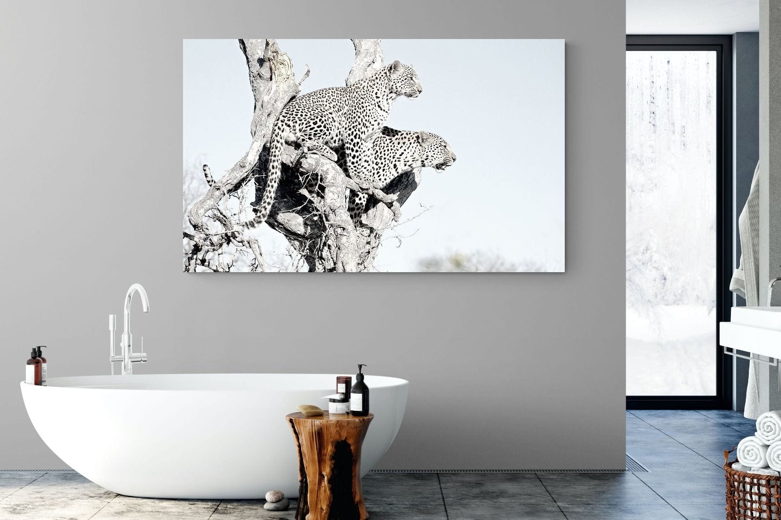 Poised Leopards-Wall_Art-180 x 110cm-Mounted Canvas-No Frame-Pixalot
