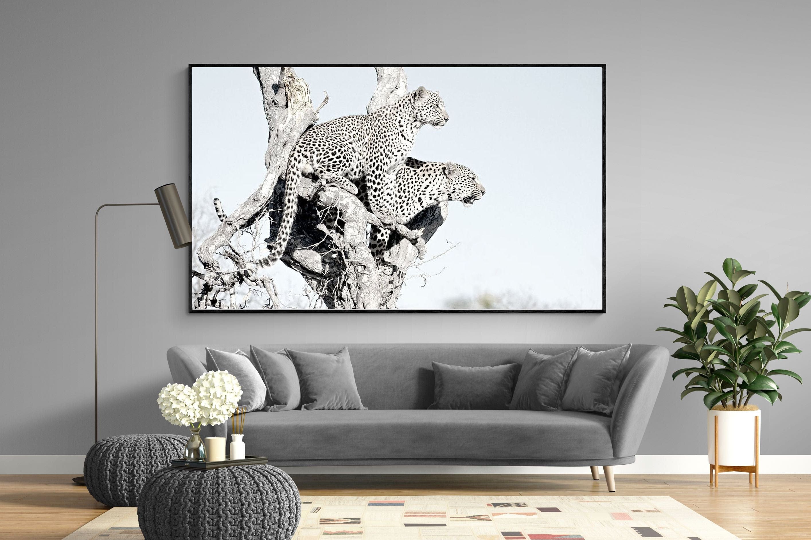 Poised Leopards-Wall_Art-220 x 130cm-Mounted Canvas-Black-Pixalot