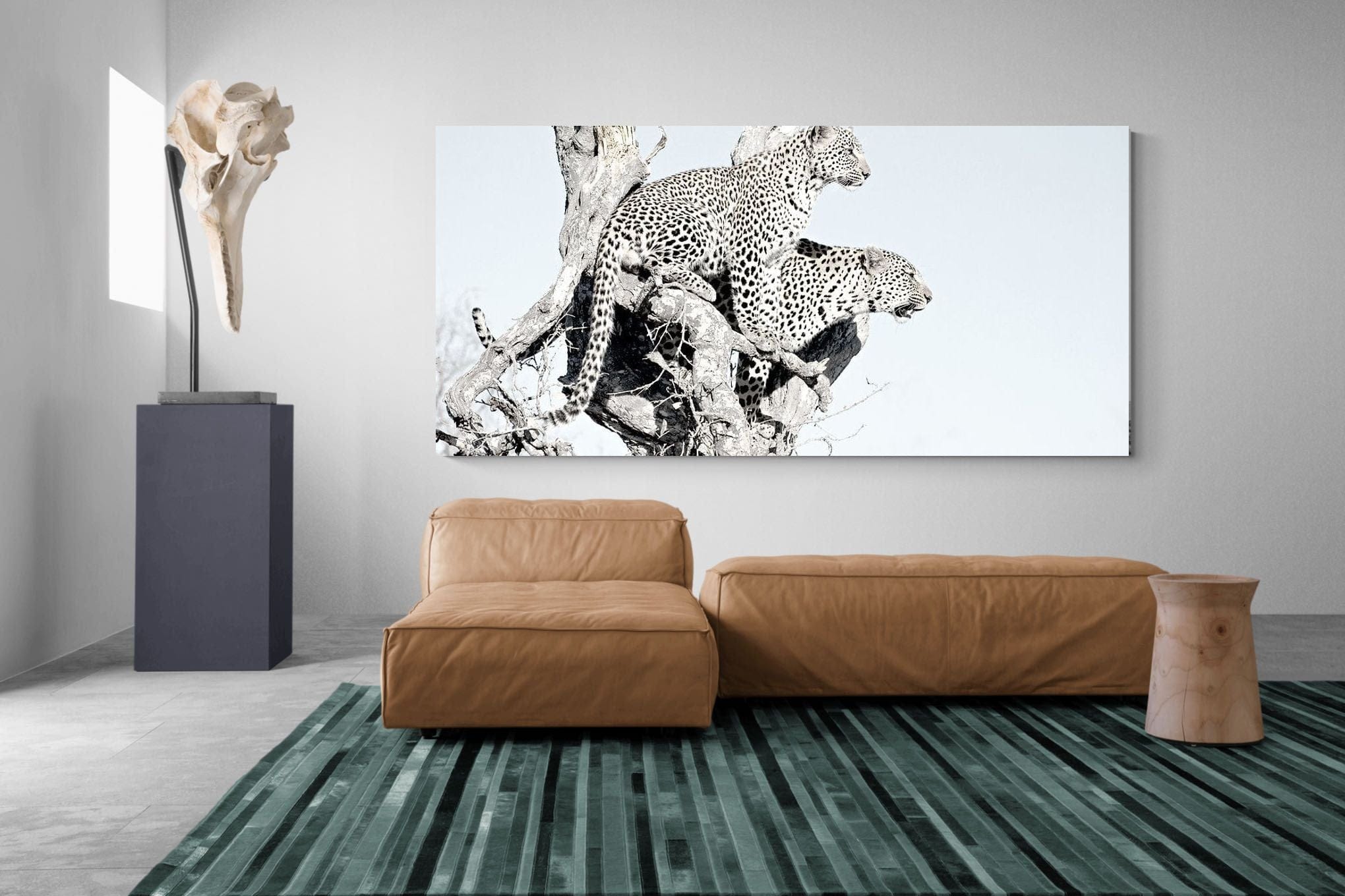 Poised Leopards-Wall_Art-275 x 130cm-Mounted Canvas-No Frame-Pixalot