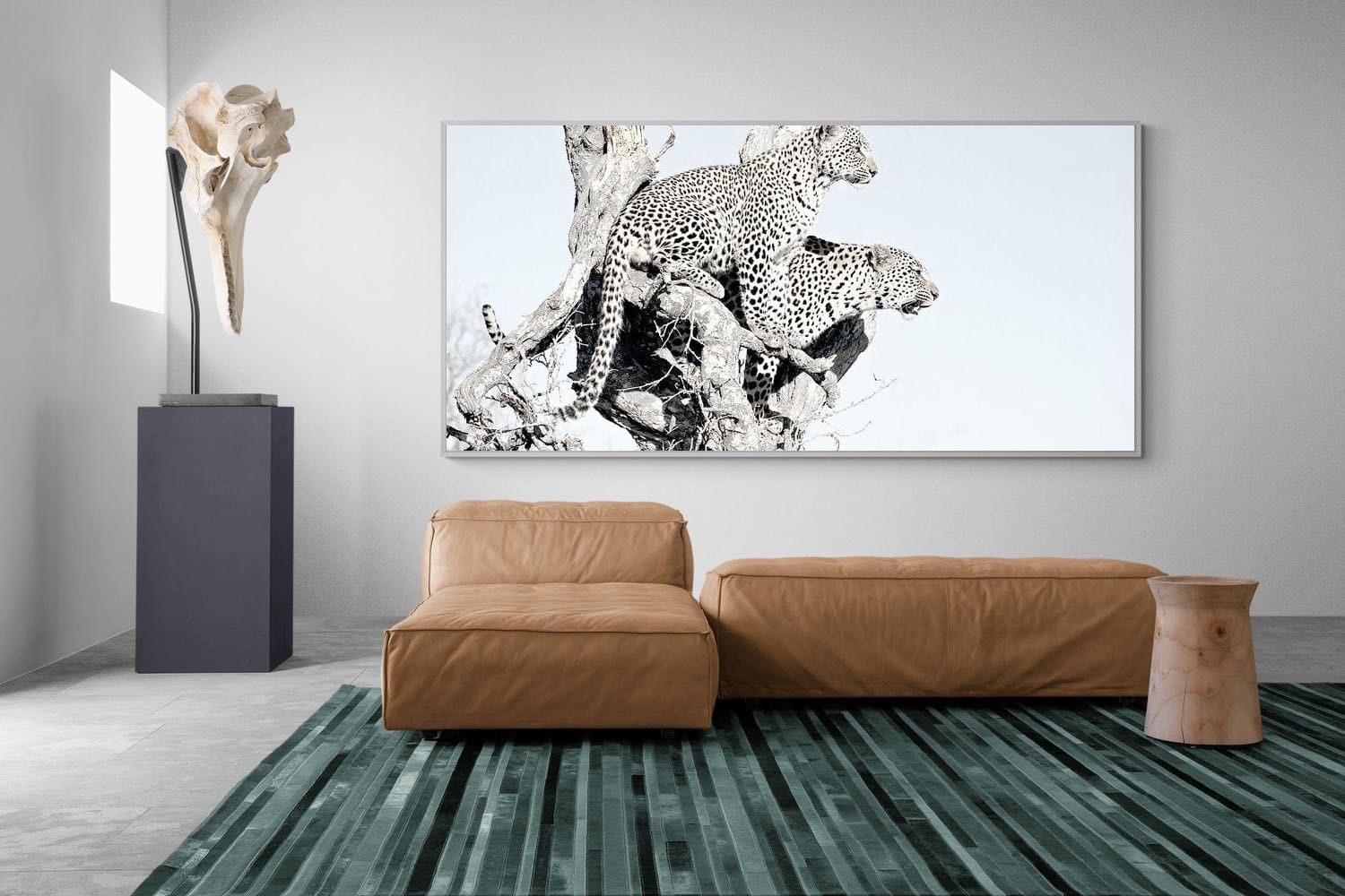 Poised Leopards-Wall_Art-275 x 130cm-Mounted Canvas-White-Pixalot