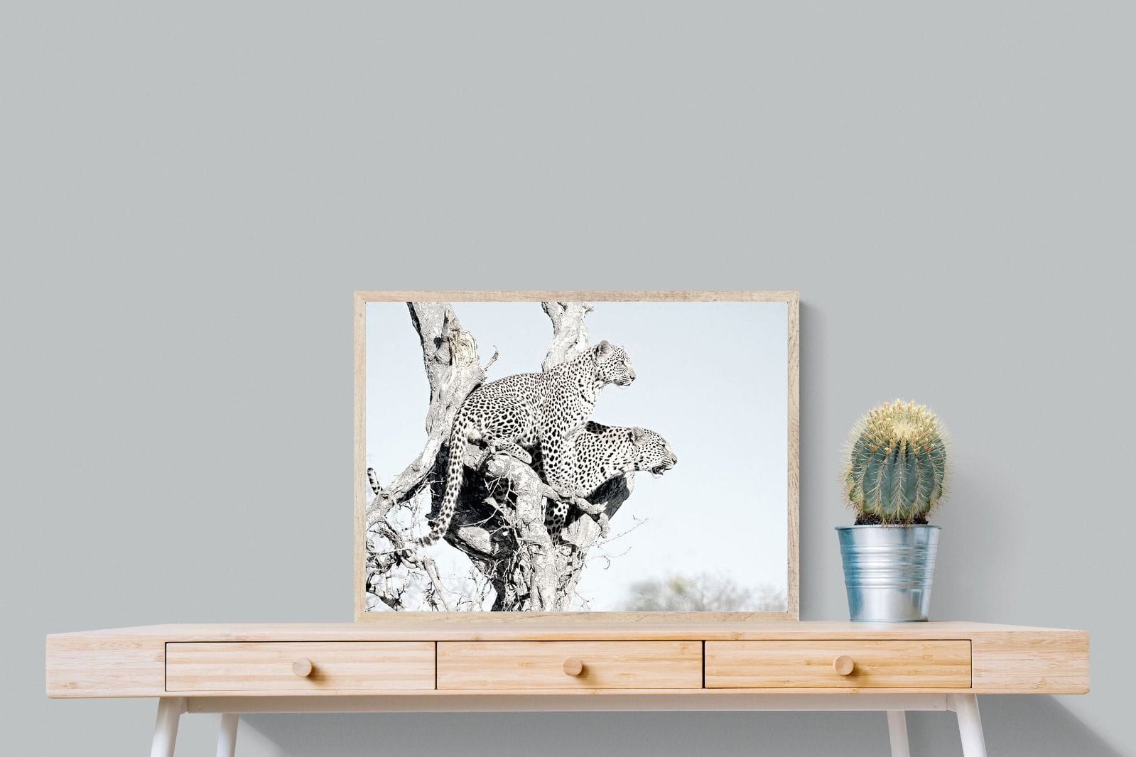 Poised Leopards-Wall_Art-80 x 60cm-Mounted Canvas-Wood-Pixalot
